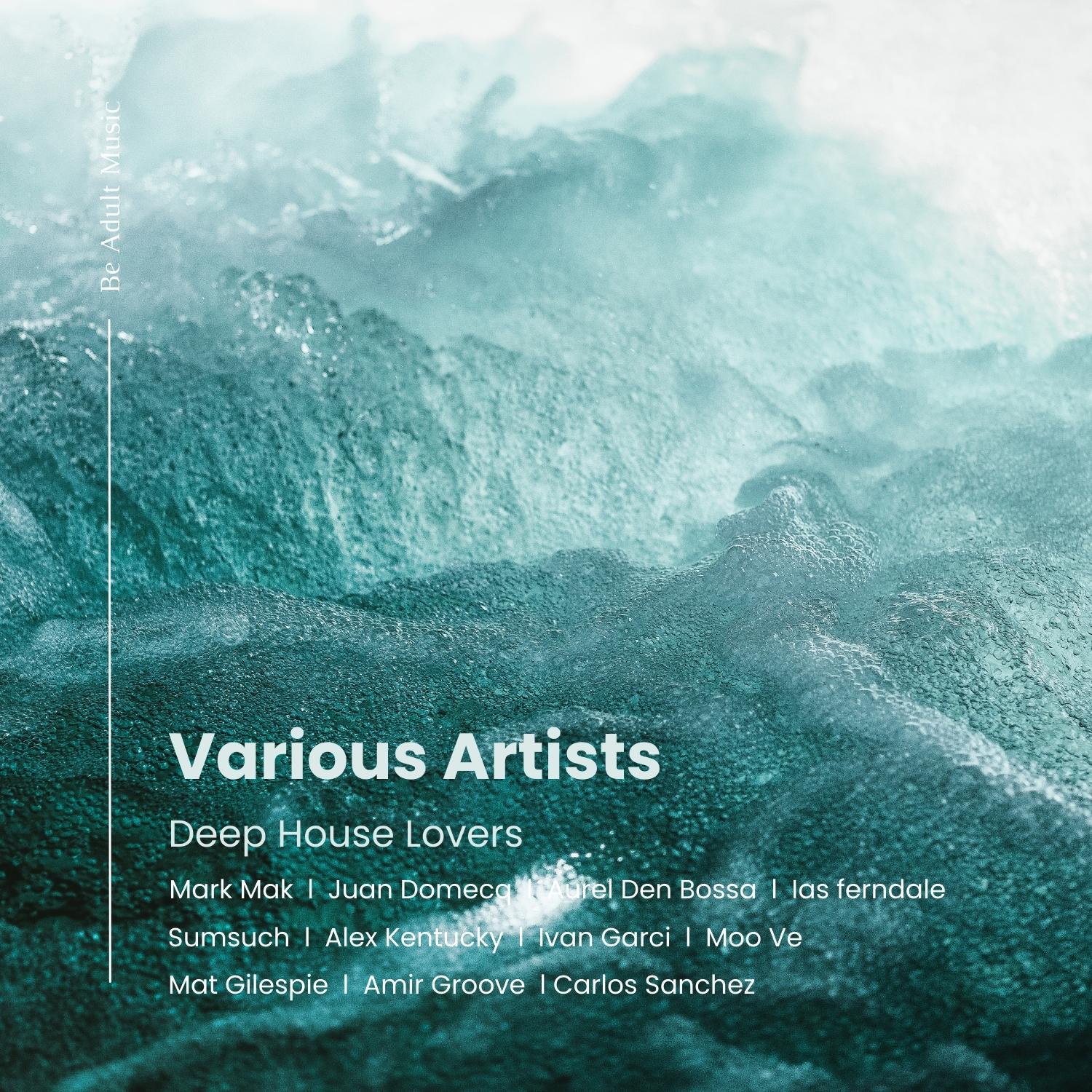 Постер альбома Deep House Lovers