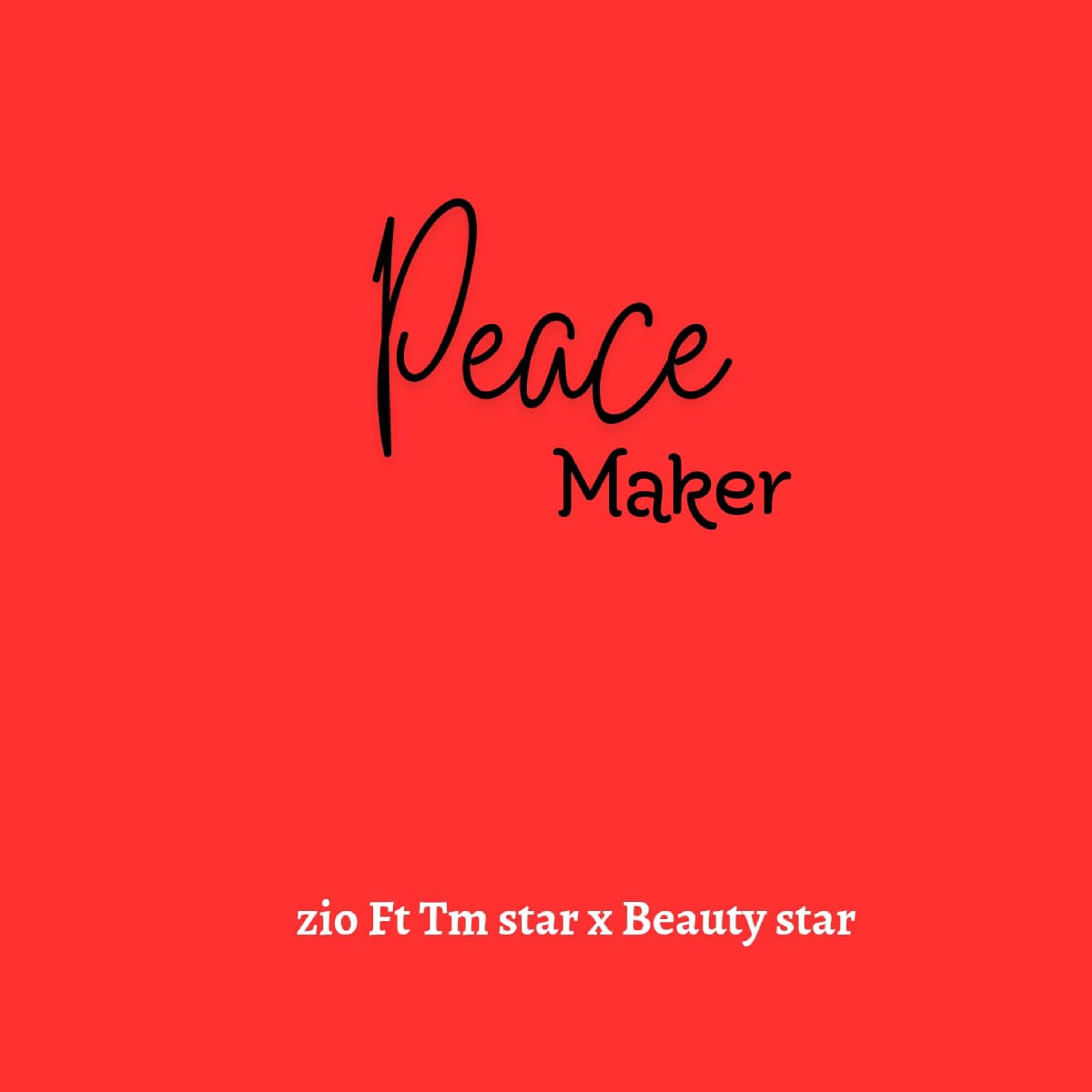 Постер альбома Peace Maker
