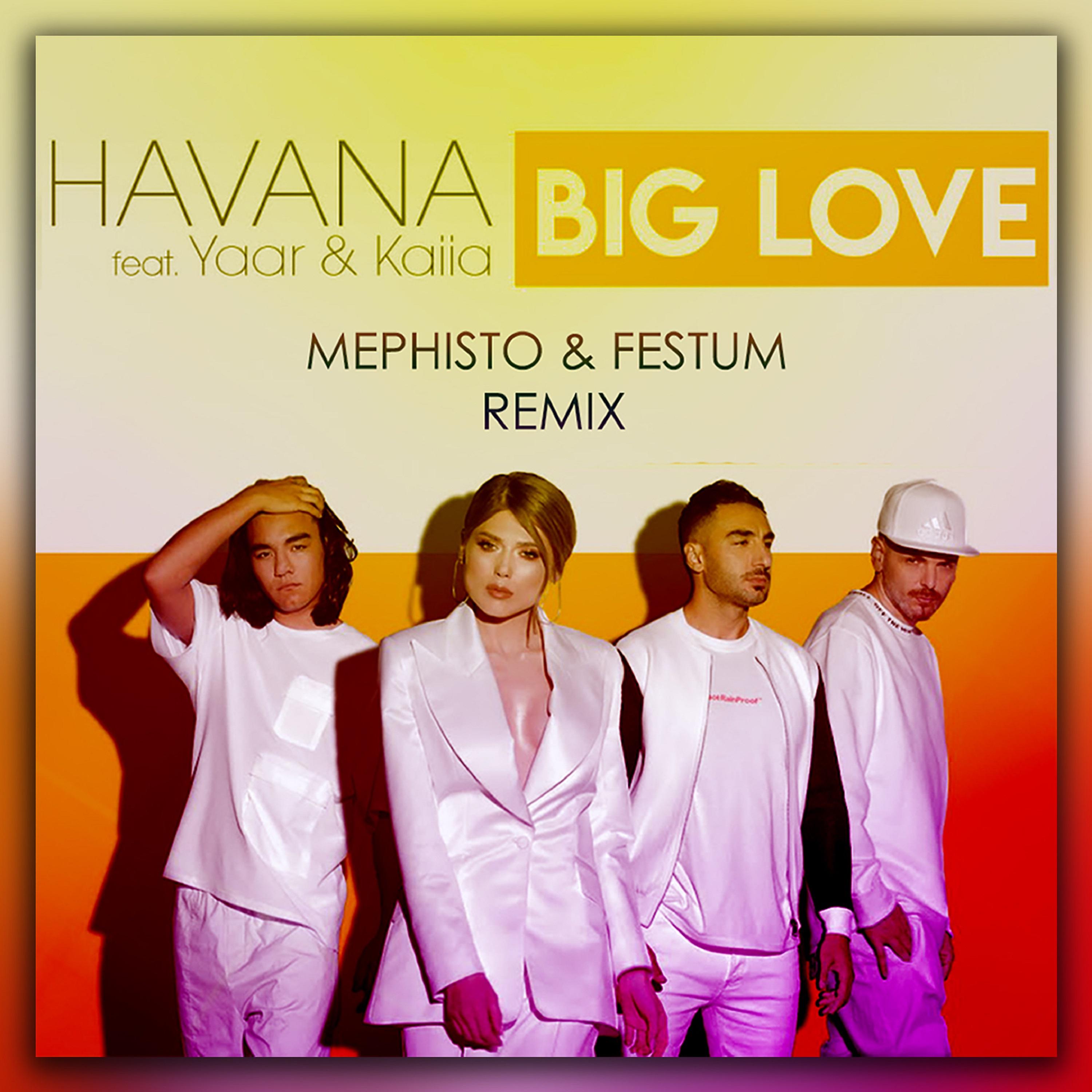 Постер альбома Big Love (DJ Mephisto & Festum Music Remix)