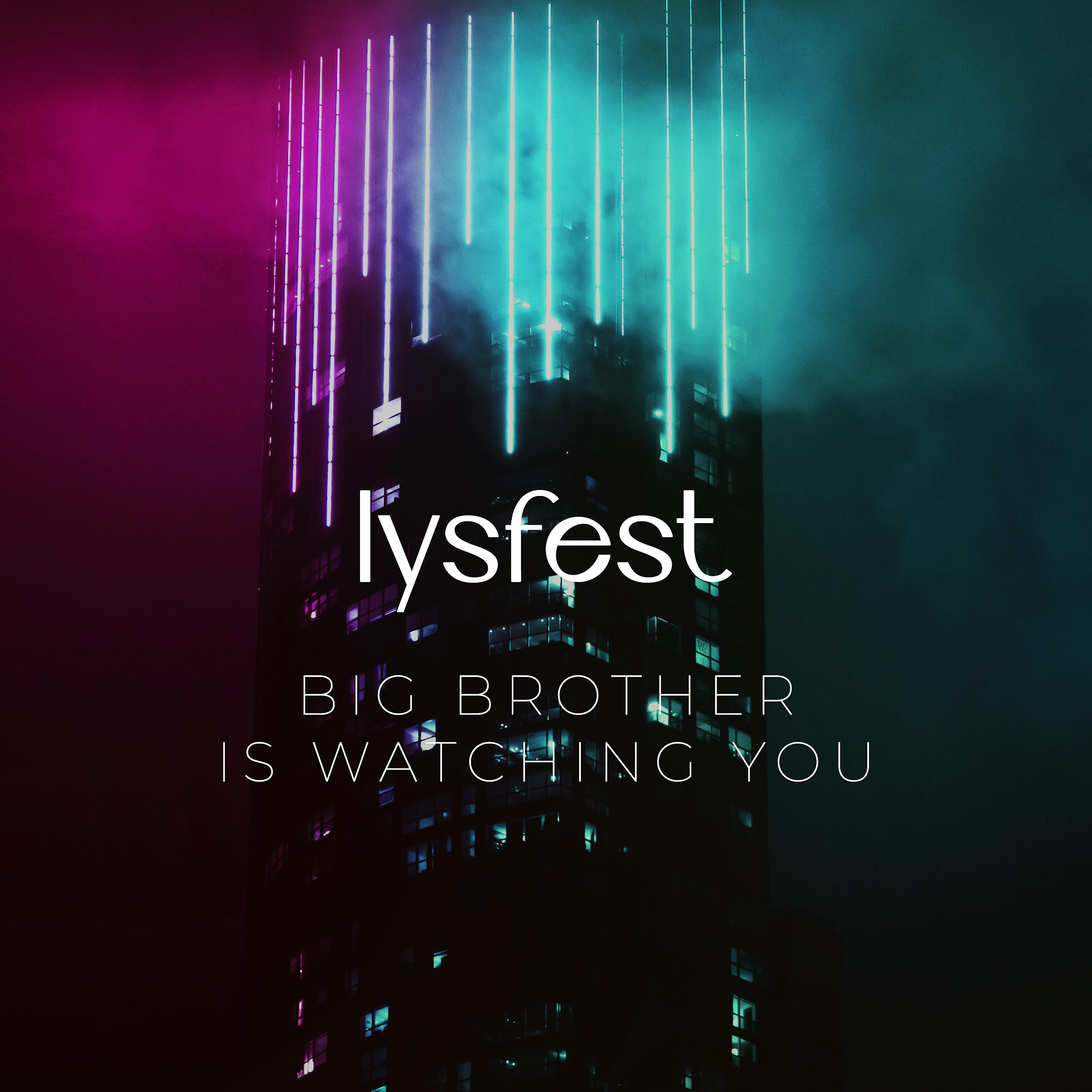 Постер альбома Big Brother Is Watching You