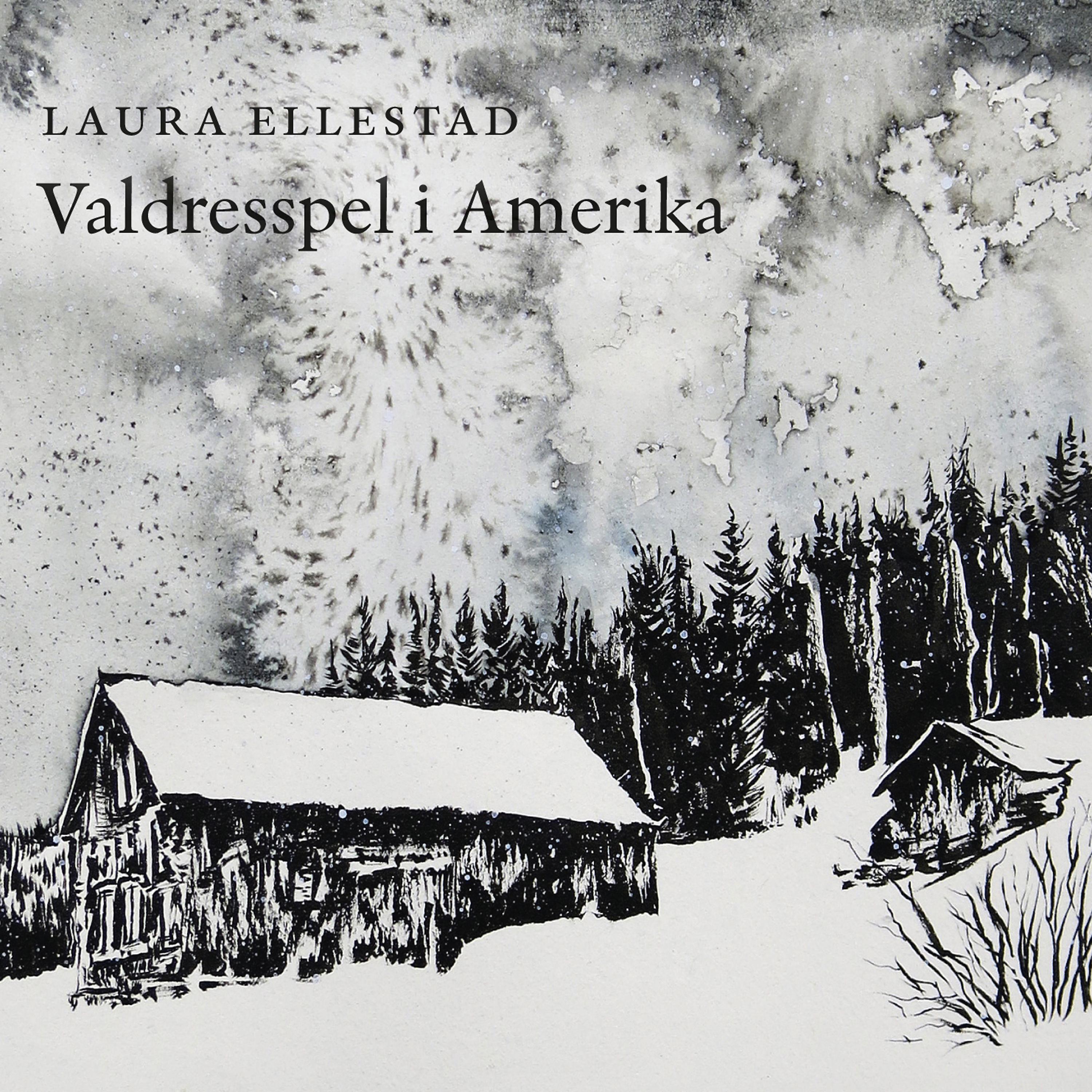 Постер альбома Valdresspel i Amerika