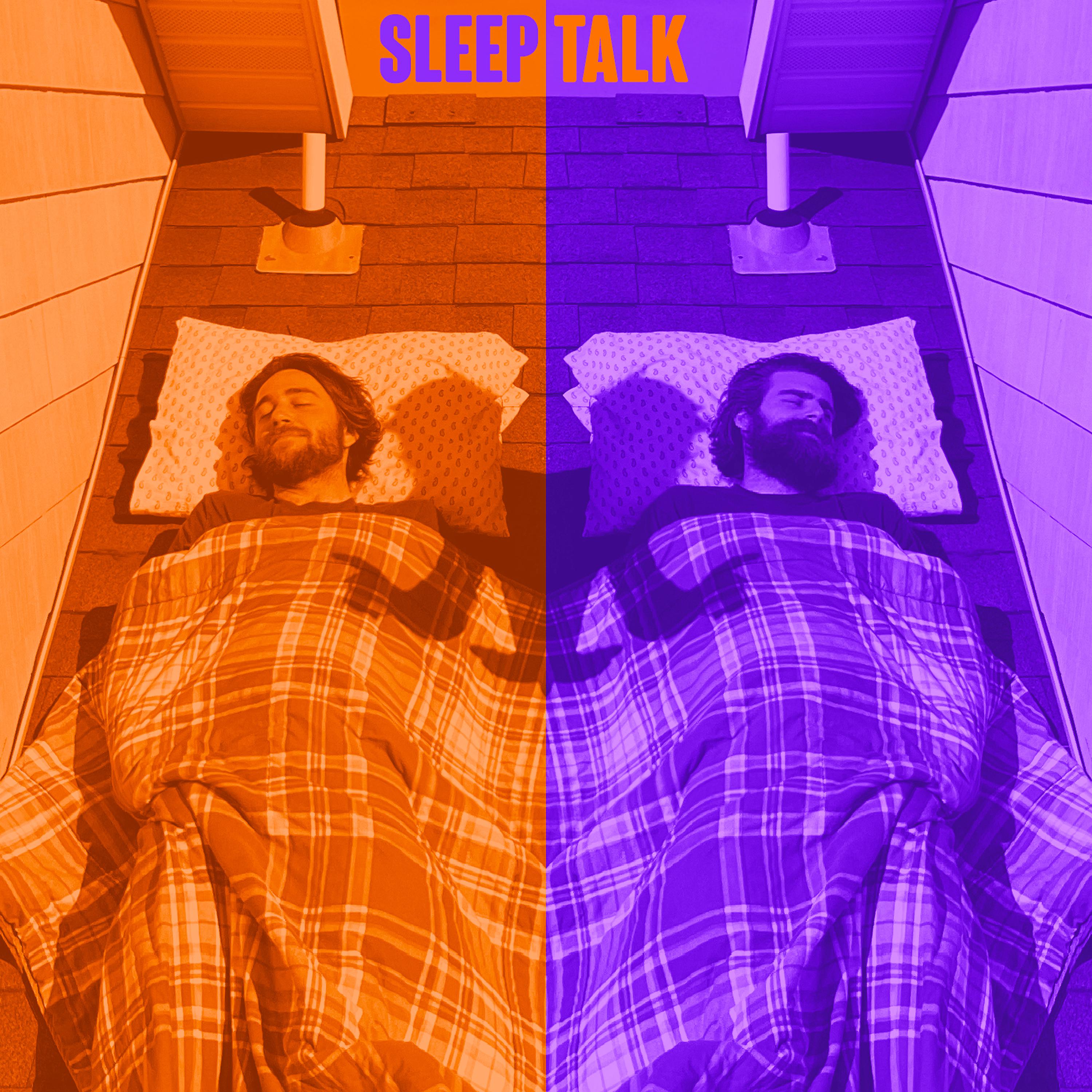 Постер альбома Sleeptalk