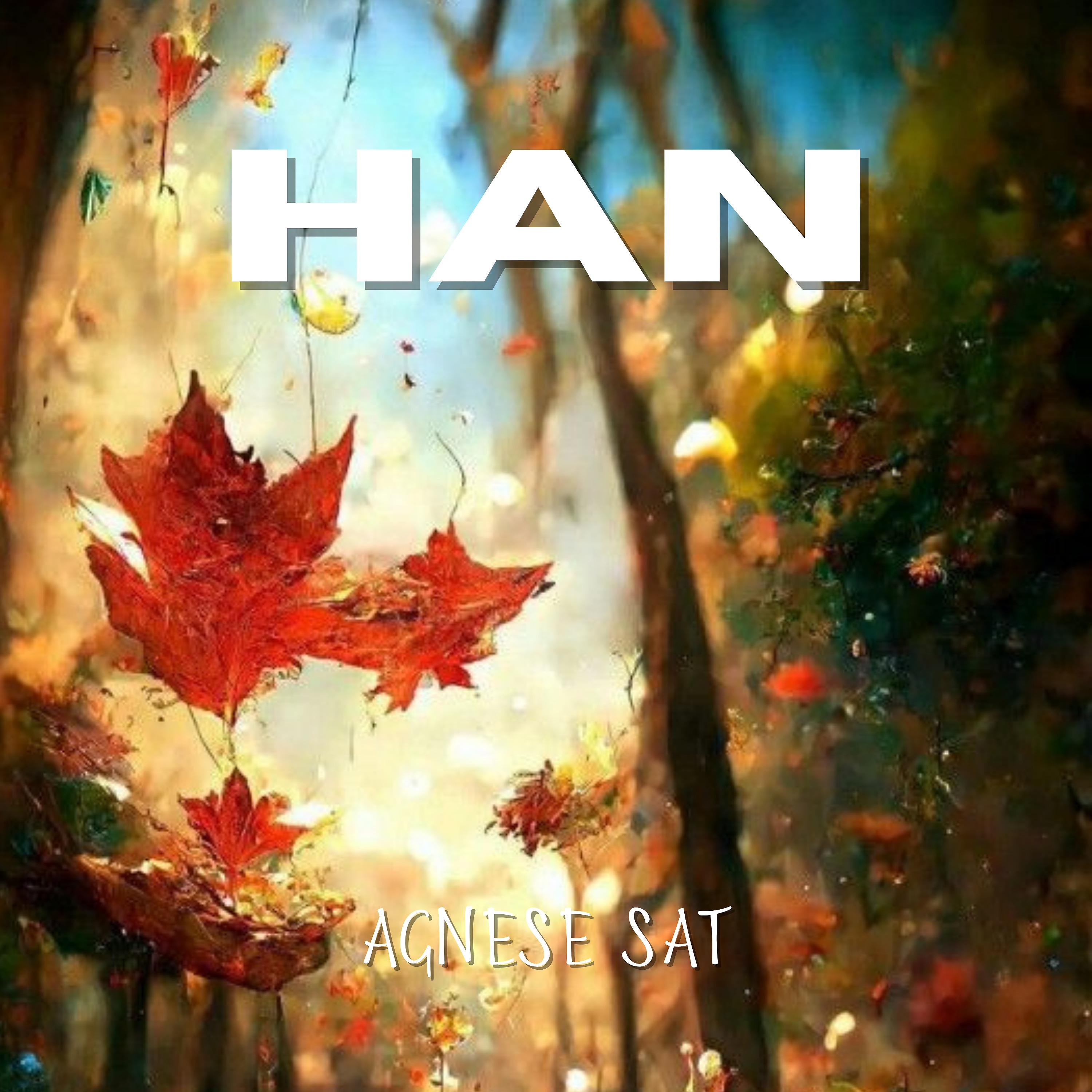 Постер альбома Han