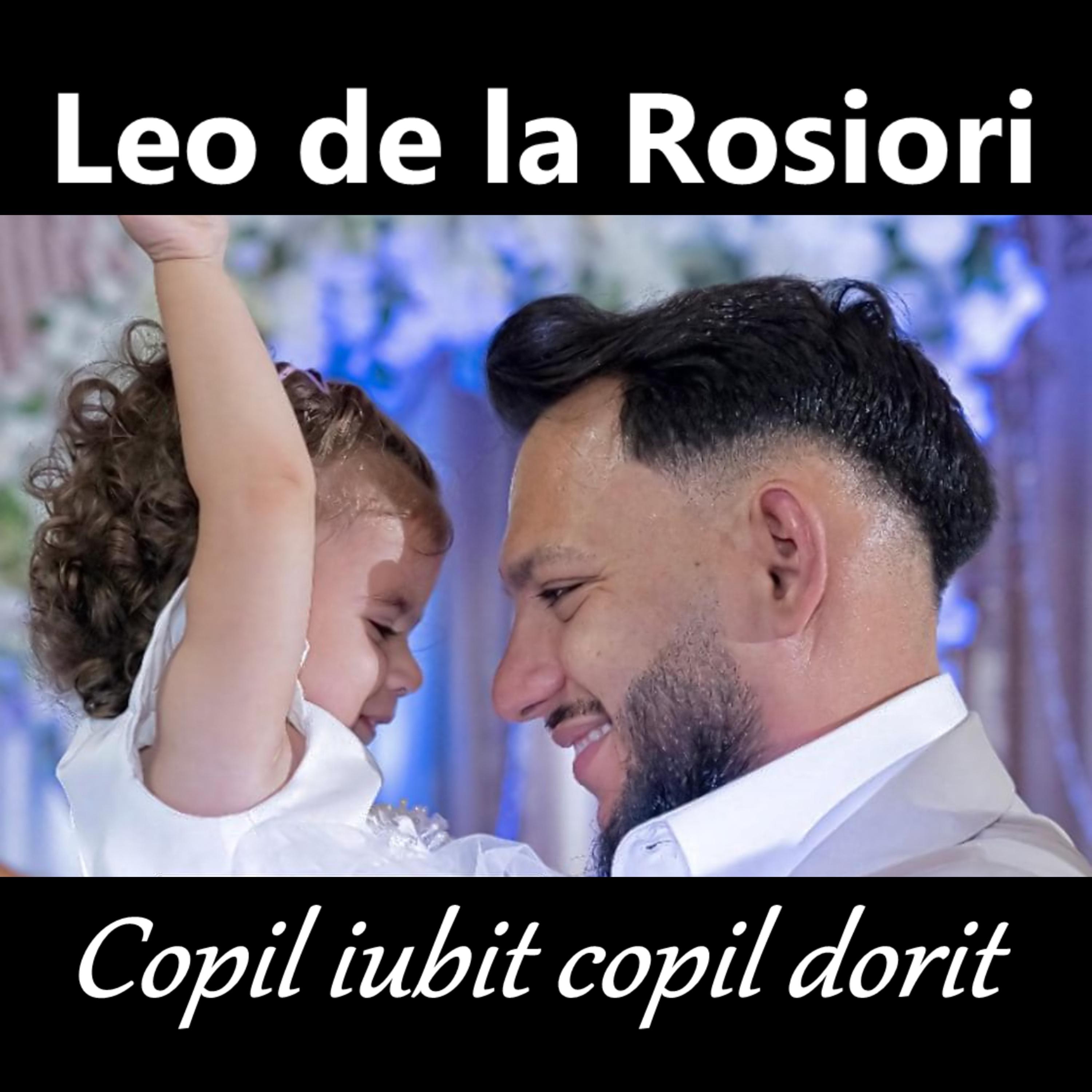 Постер альбома Copil iubit copil dorit