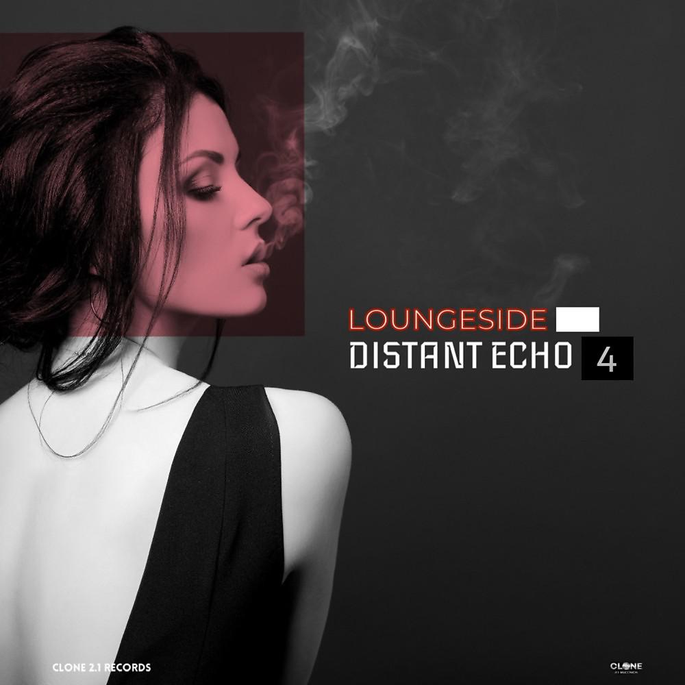 Постер альбома Distant Echo 4