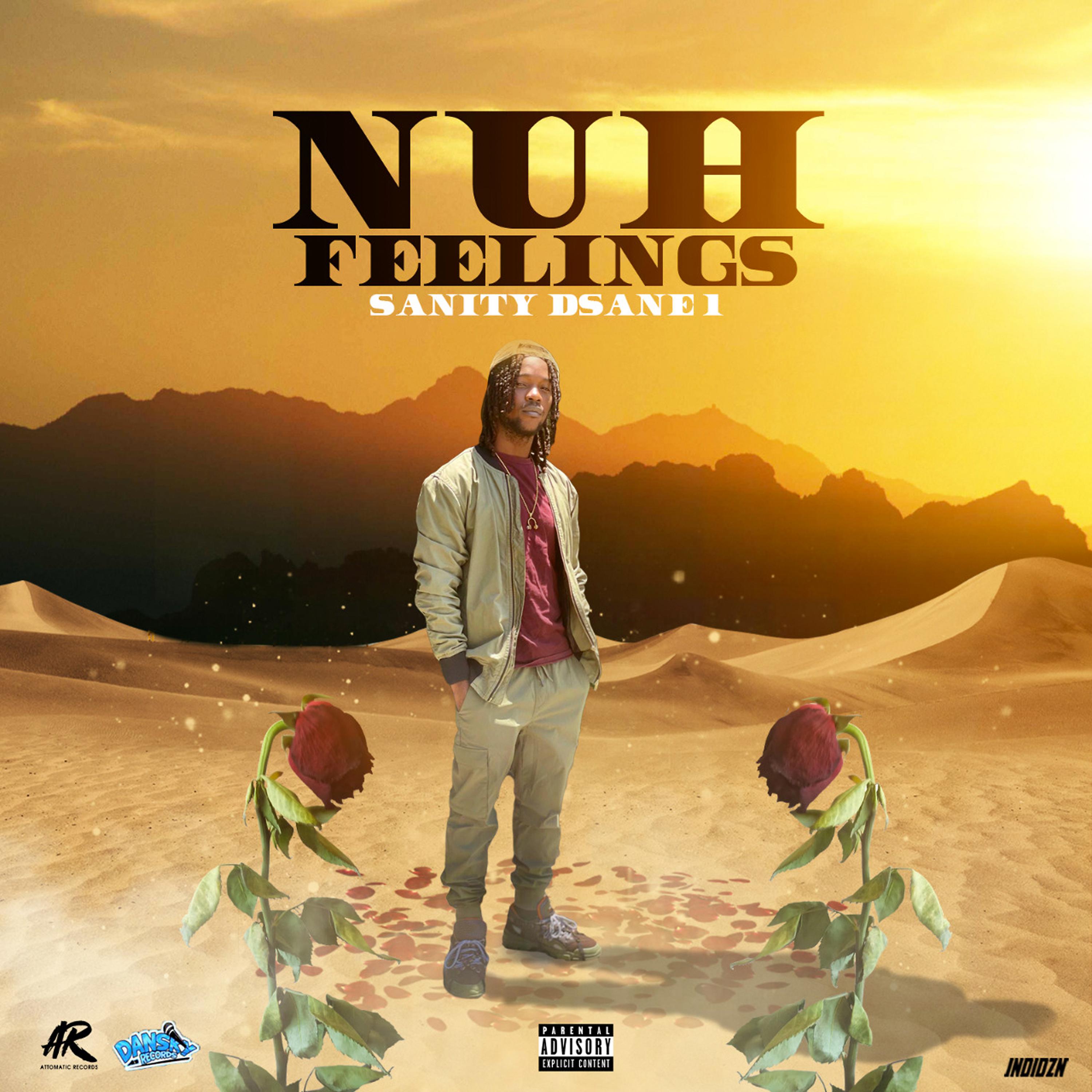 Постер альбома Nuh Feelings