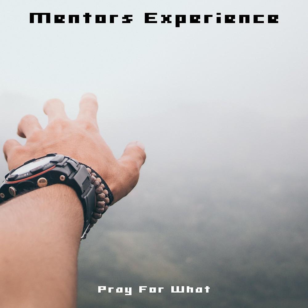 Постер альбома Mentors Experience