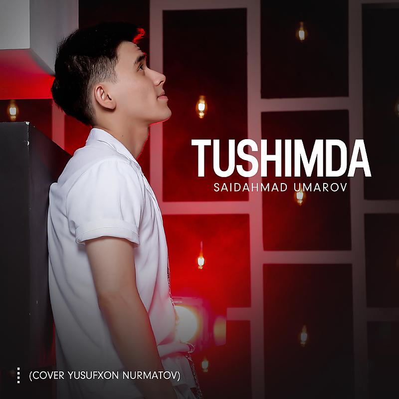 Постер альбома Tushimda (cover Yusufxon Nurmatov)