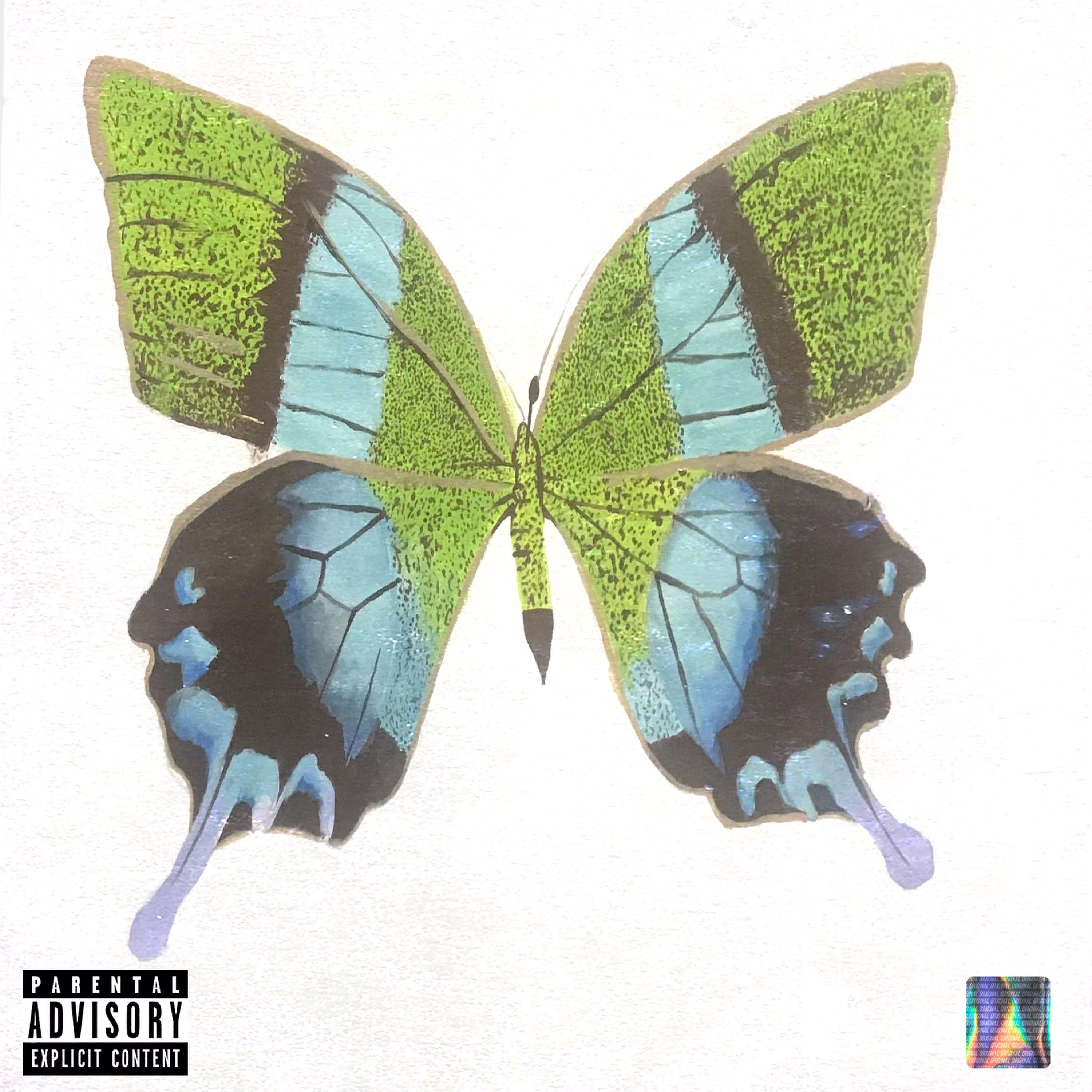 Постер альбома Butterfly