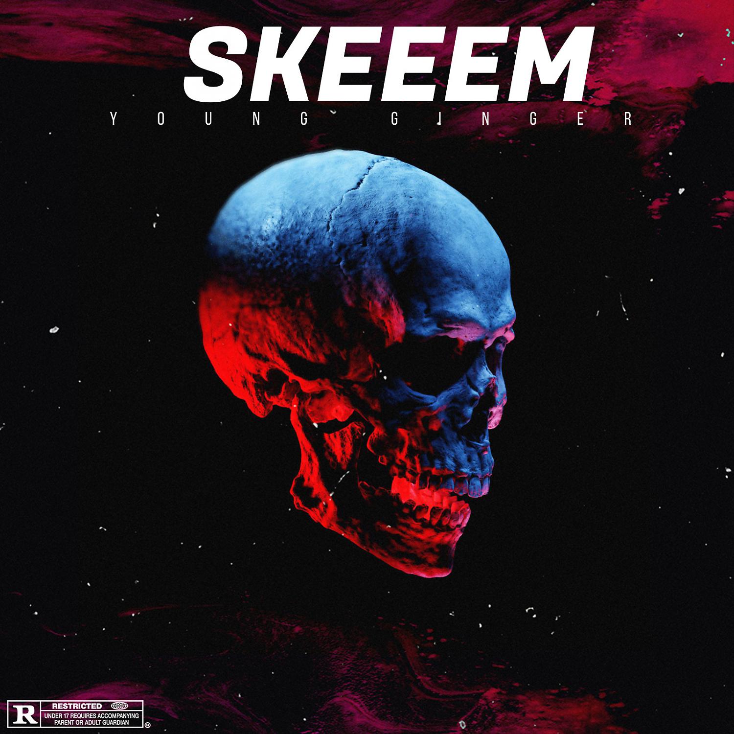 Постер альбома Skeem (feat. SpheCial, Aisty_Q & Thabo)