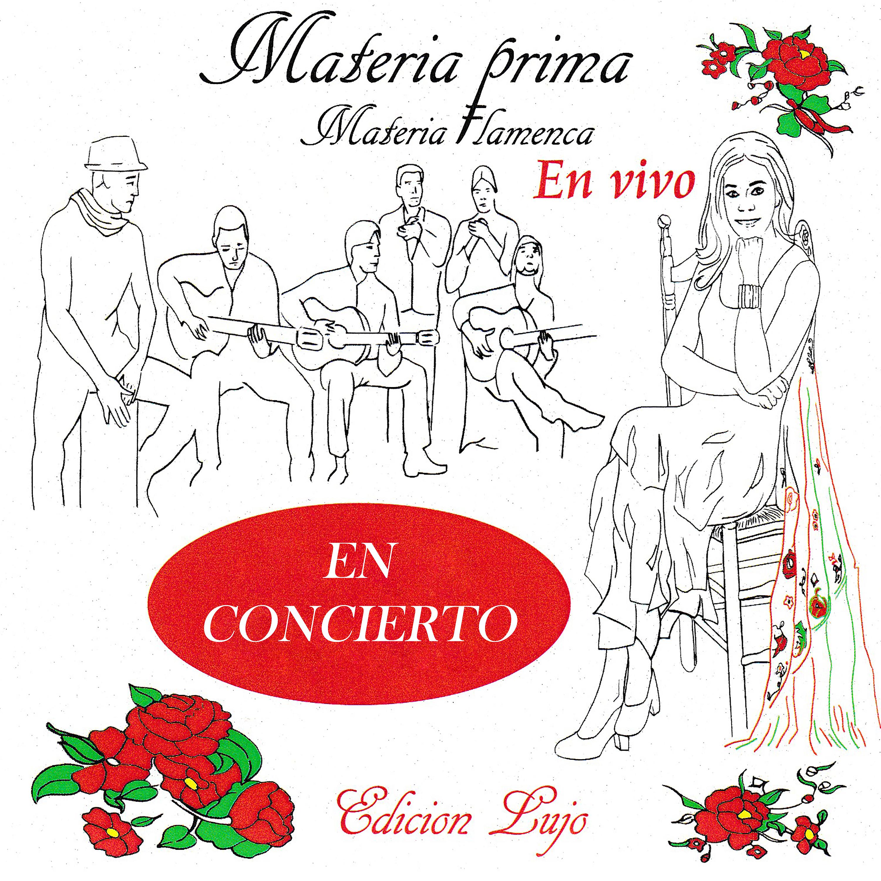 Постер альбома Materia Flamenca en Vivo: Edicion Lujo