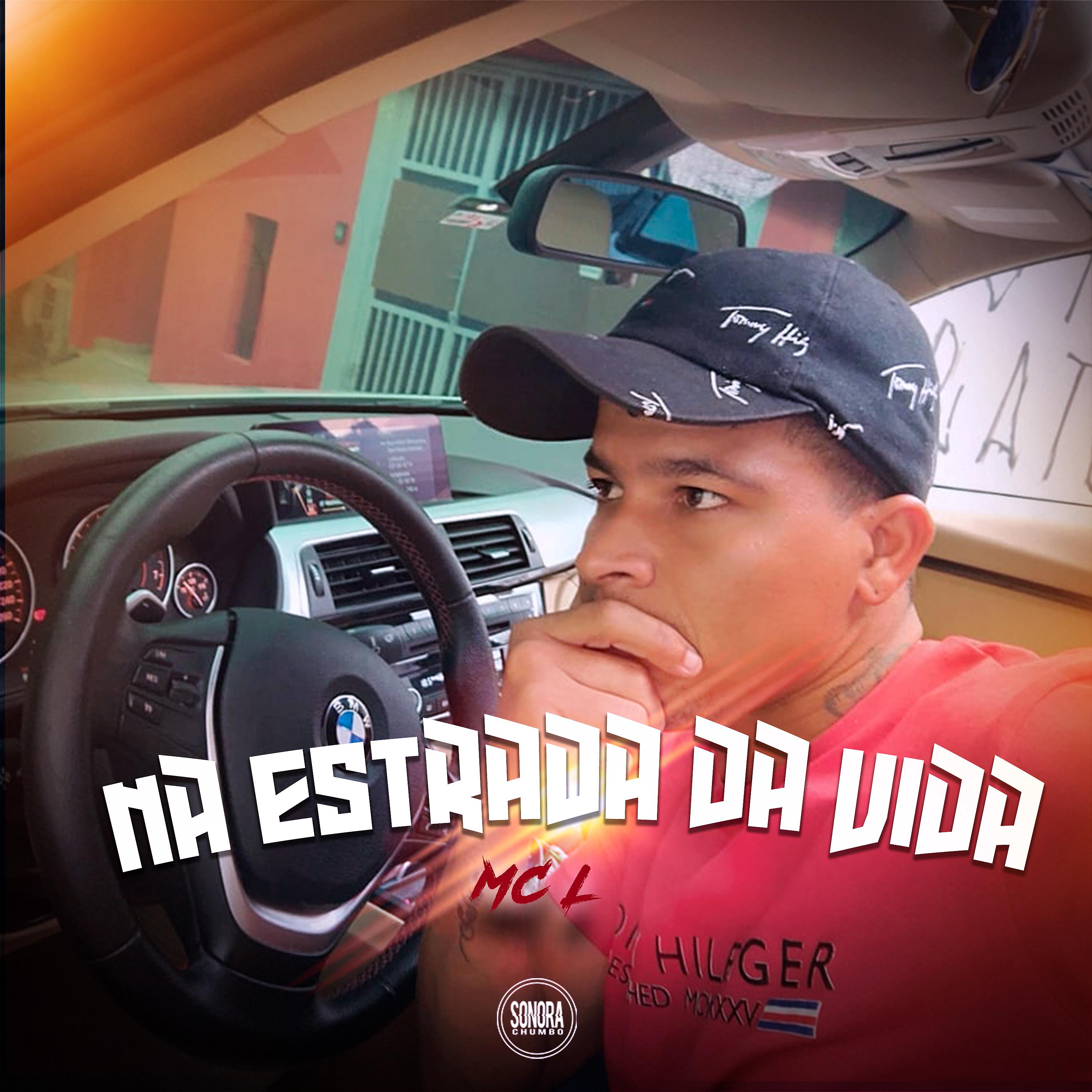 Постер альбома Na Estrada da Vida