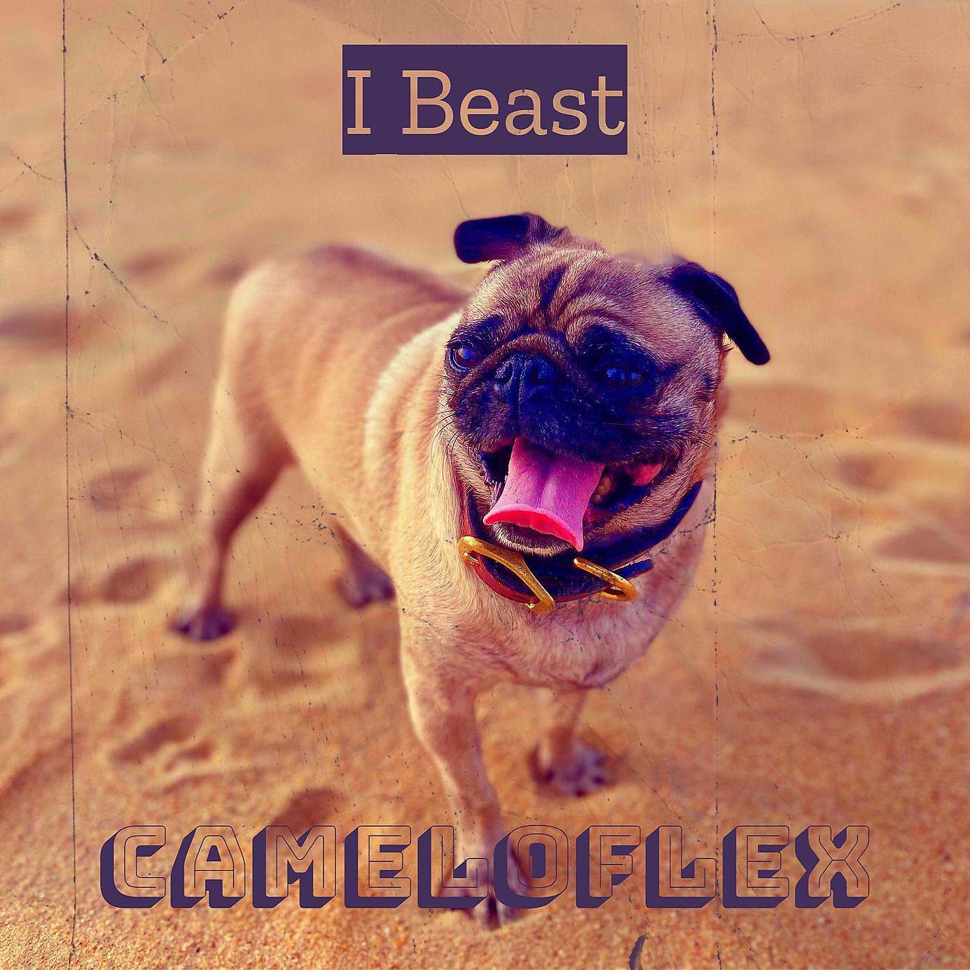 Постер альбома I Beast
