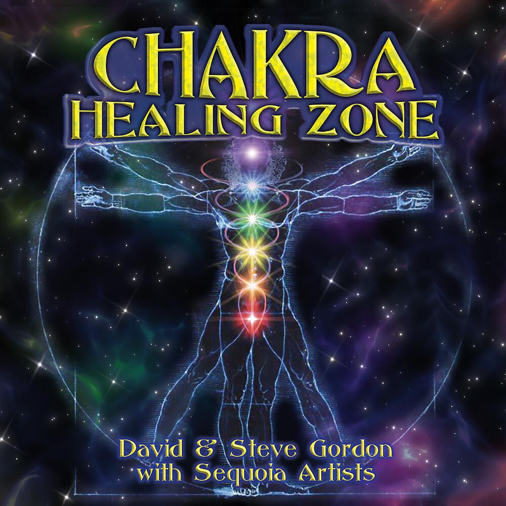 Постер альбома Chakra Healing Zone