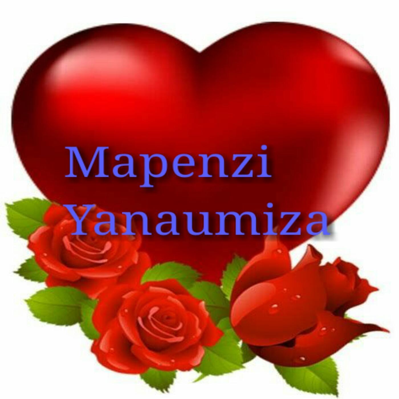 Постер альбома Mapenzi Yanaumiza
