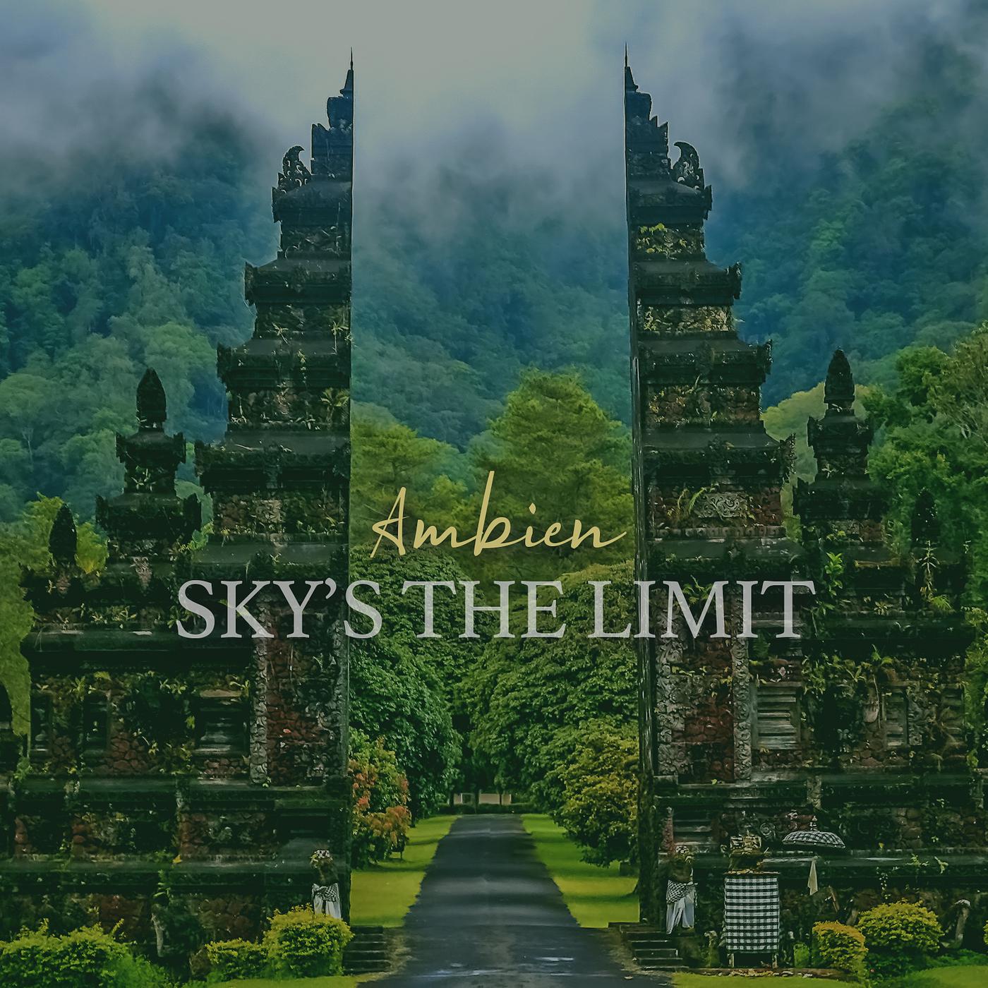 Постер альбома Sky's the Limit