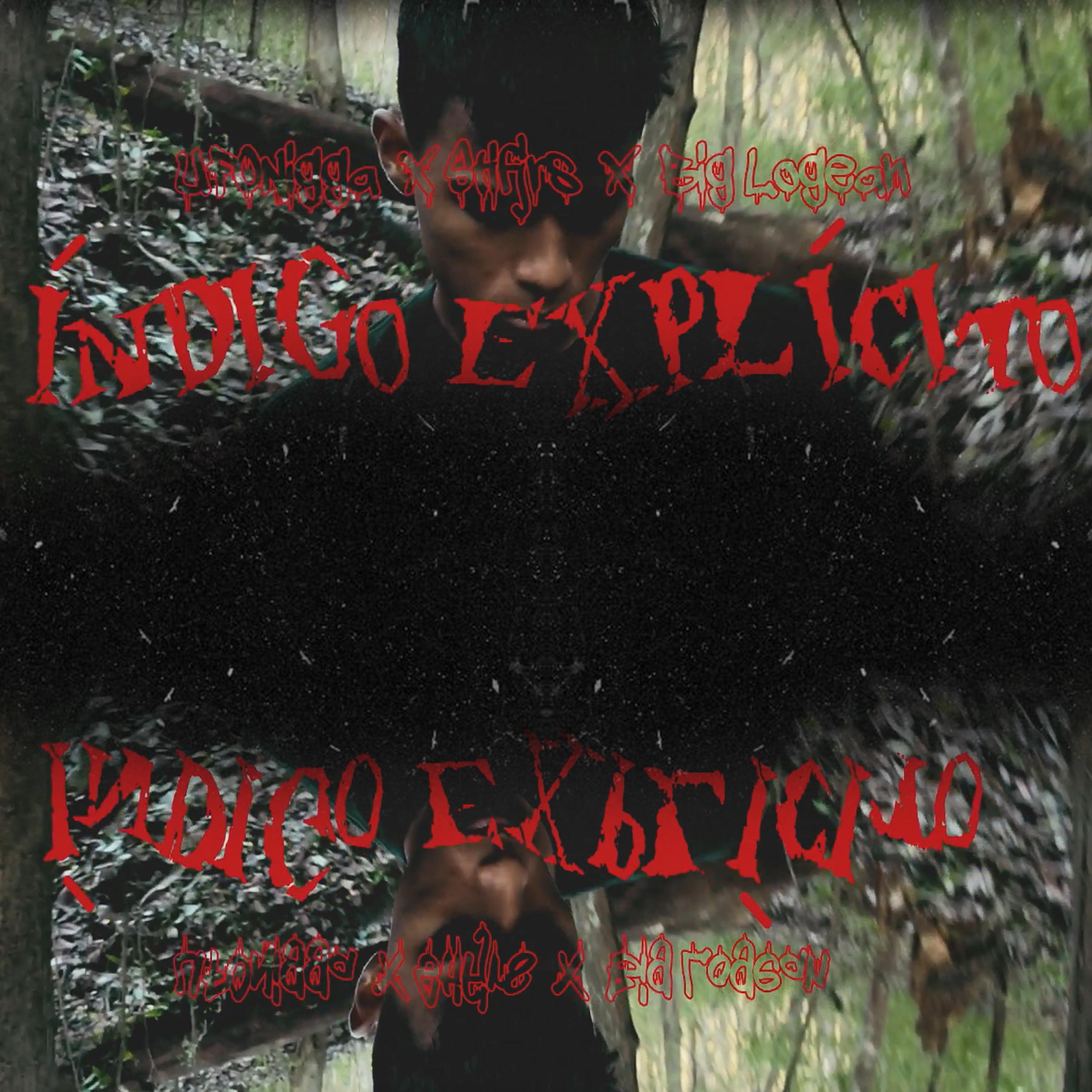 Постер альбома Índigo Explicito