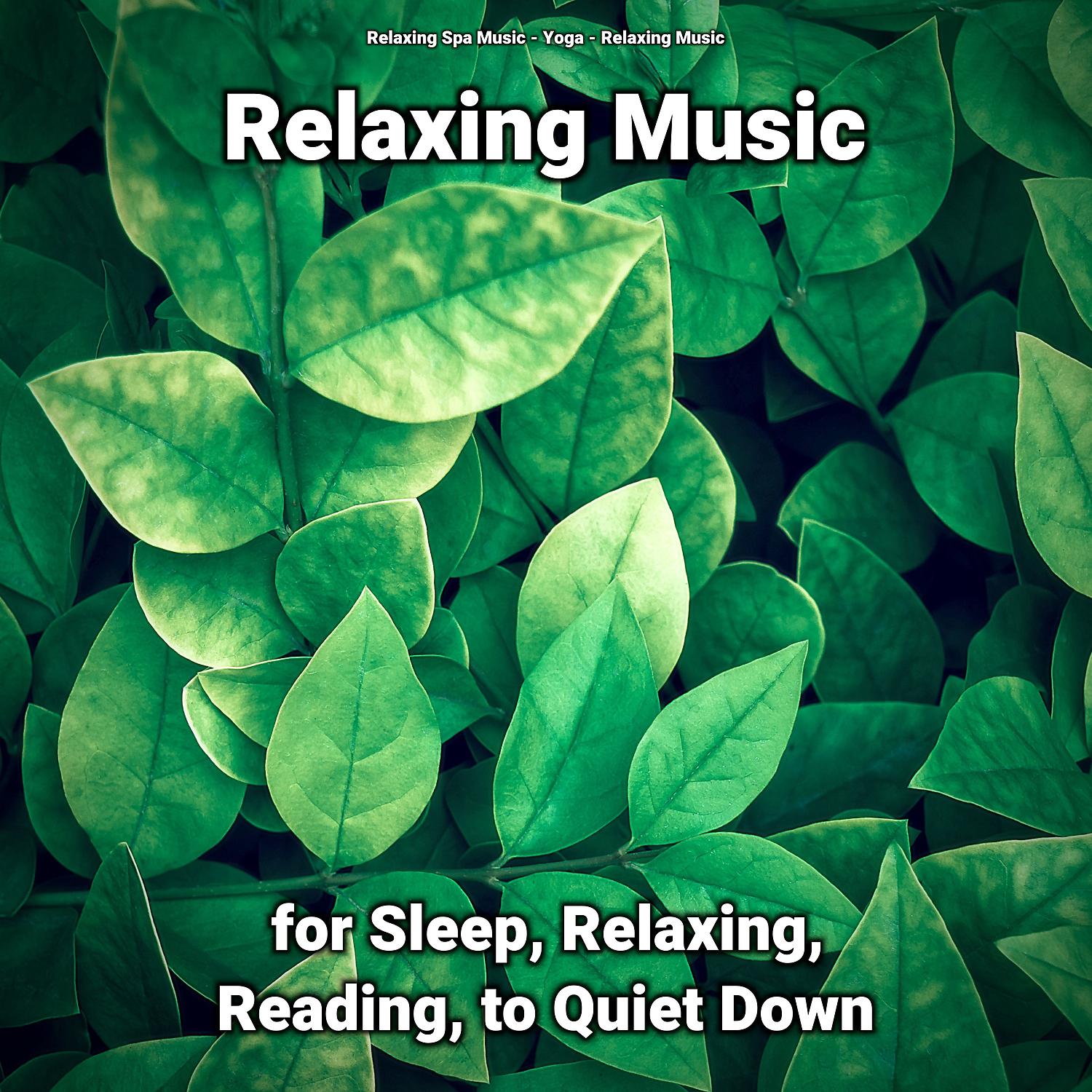 Постер альбома Relaxing Music for Sleep, Relaxing, Reading, to Quiet Down
