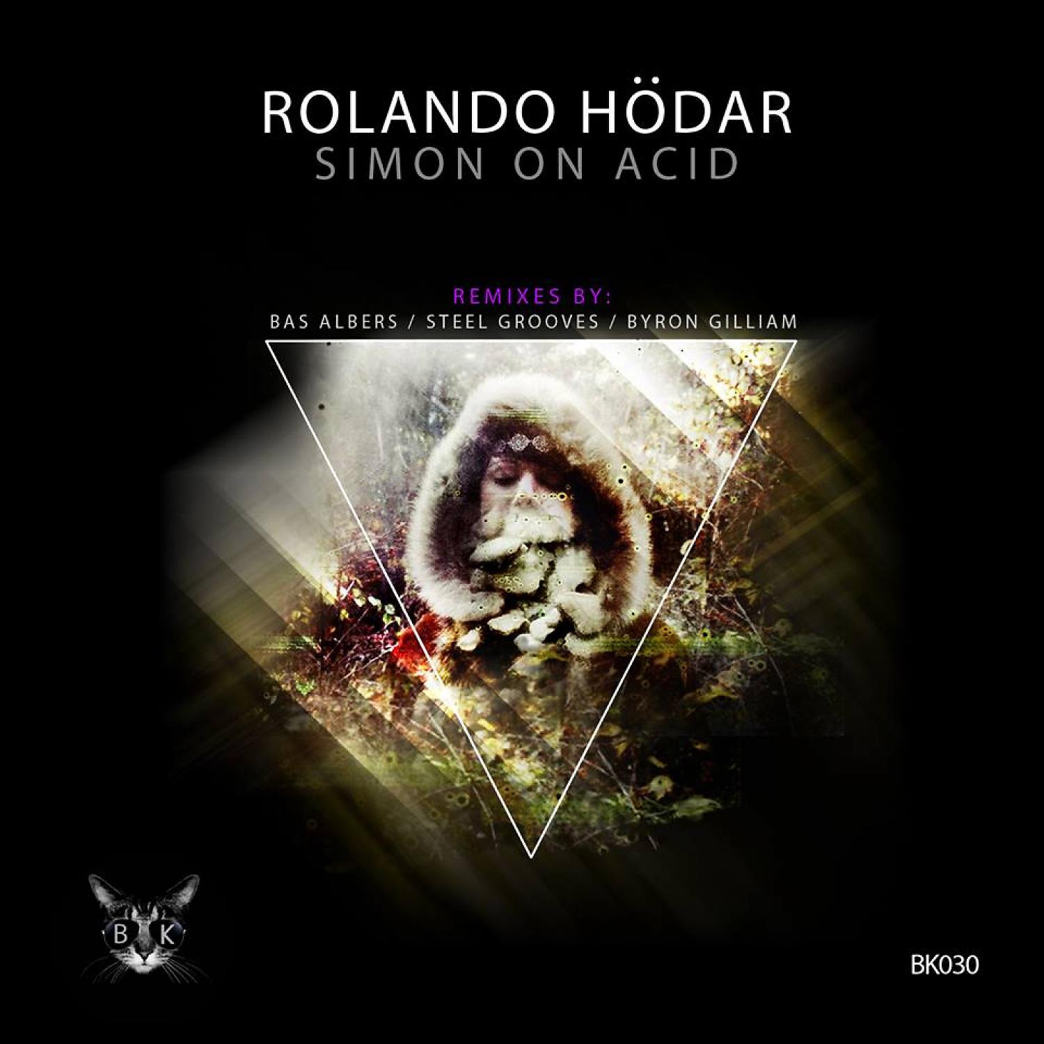 Постер альбома Simon on Acid E.p