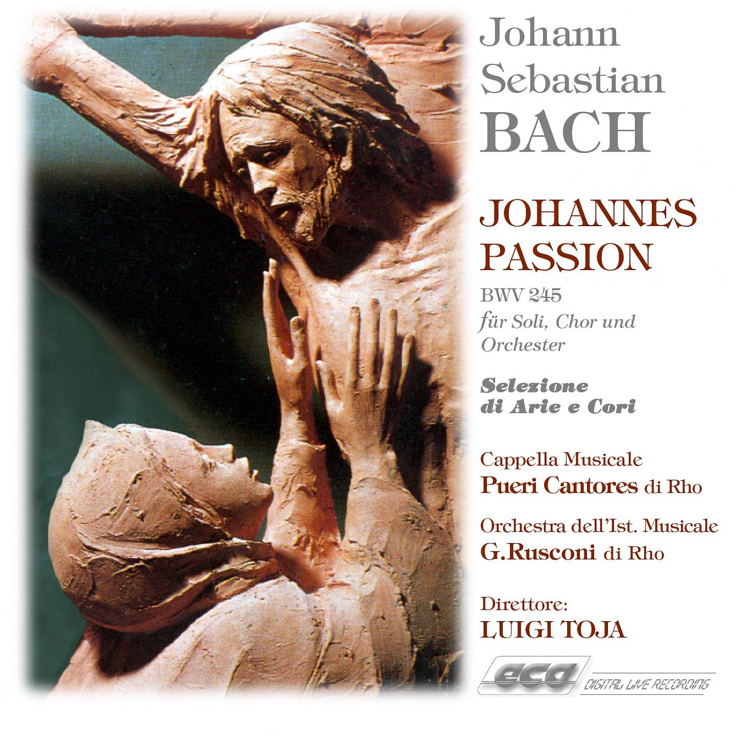 Постер альбома Johannes Passion