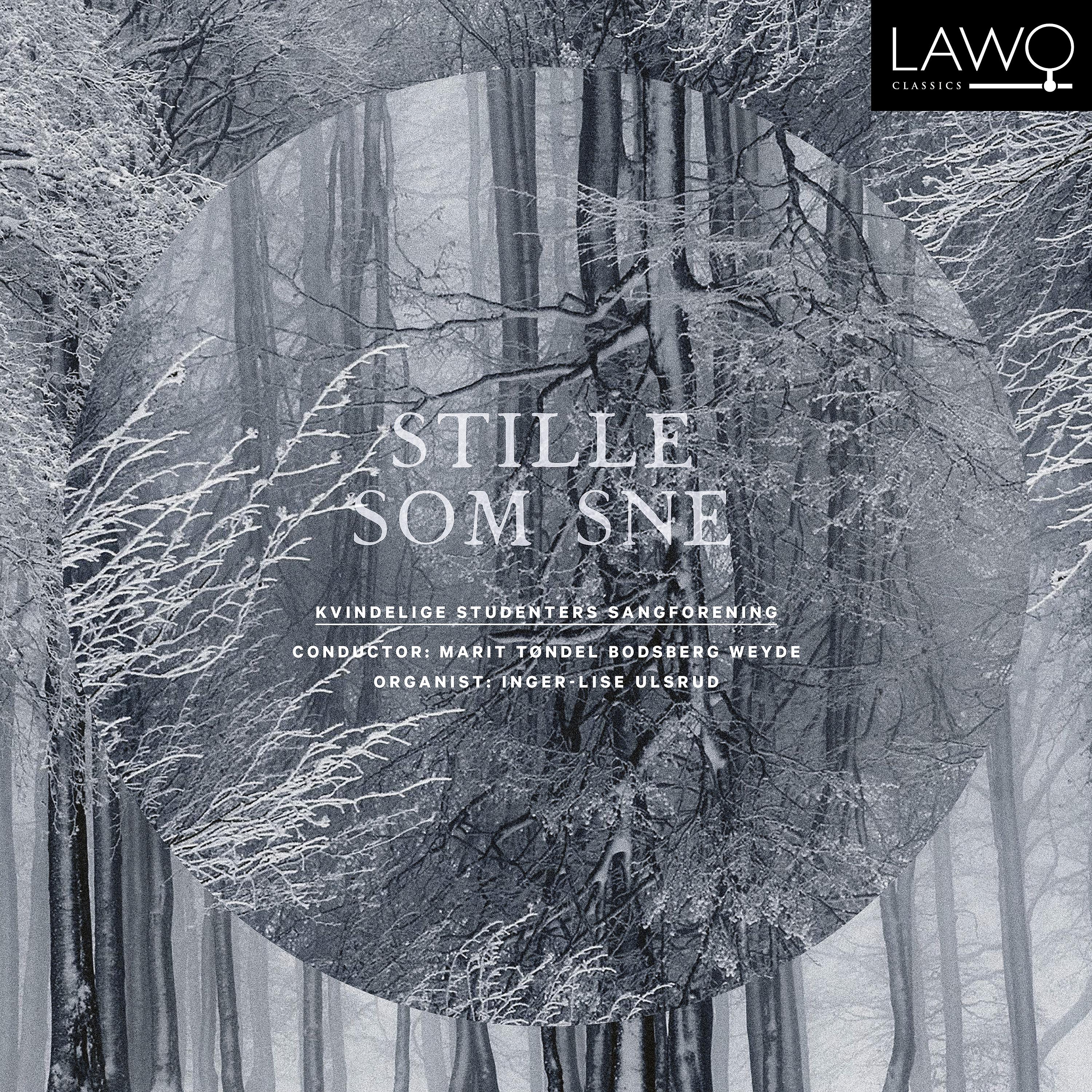 Постер альбома Stille som sne