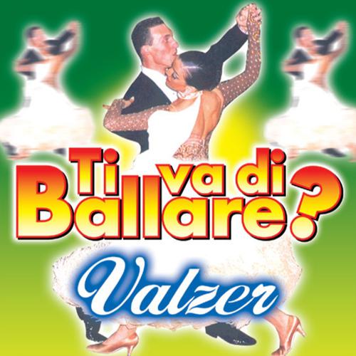 Постер альбома Ti va di ballare? Valzer