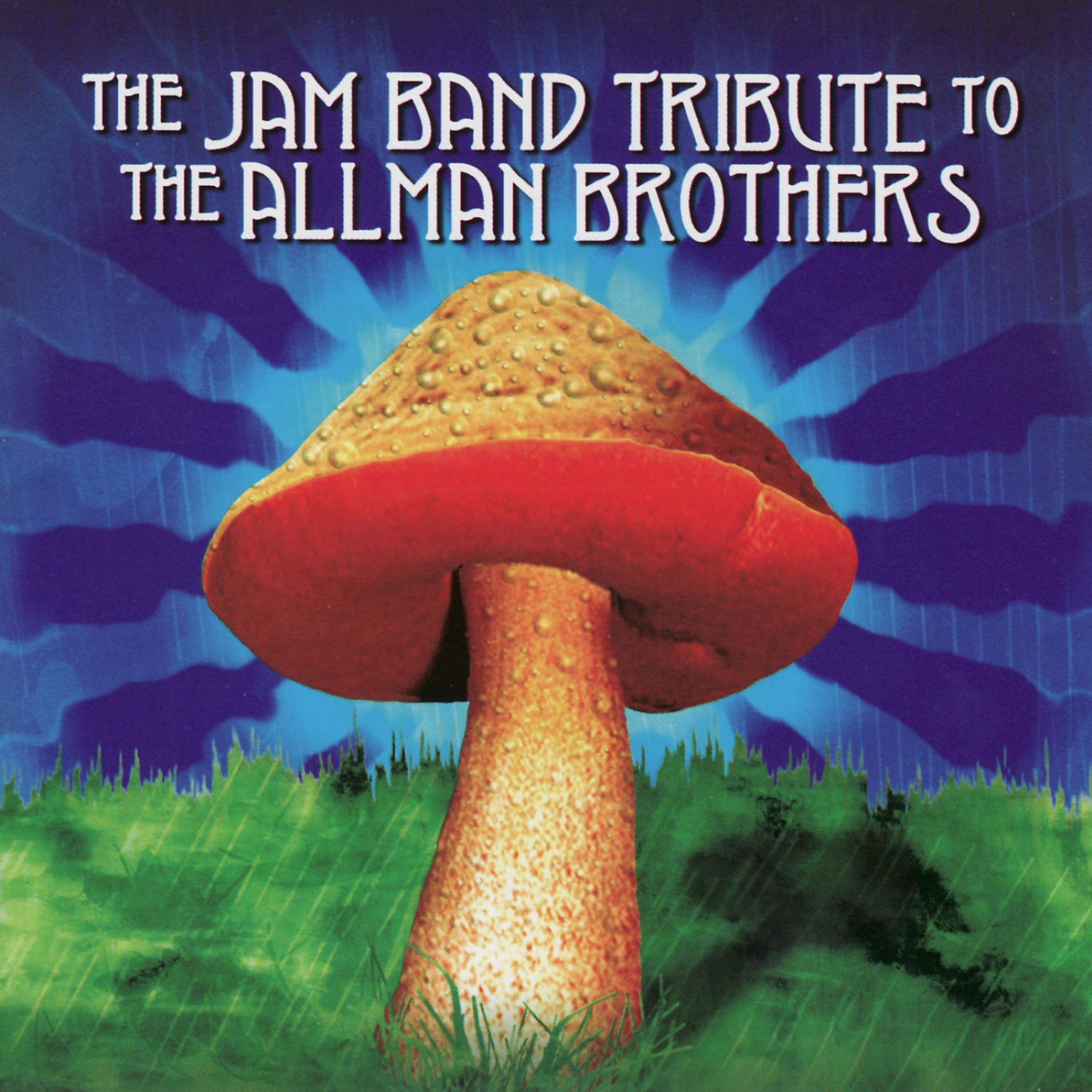 Постер альбома The Jam Band Tribute to the Allman Brothers