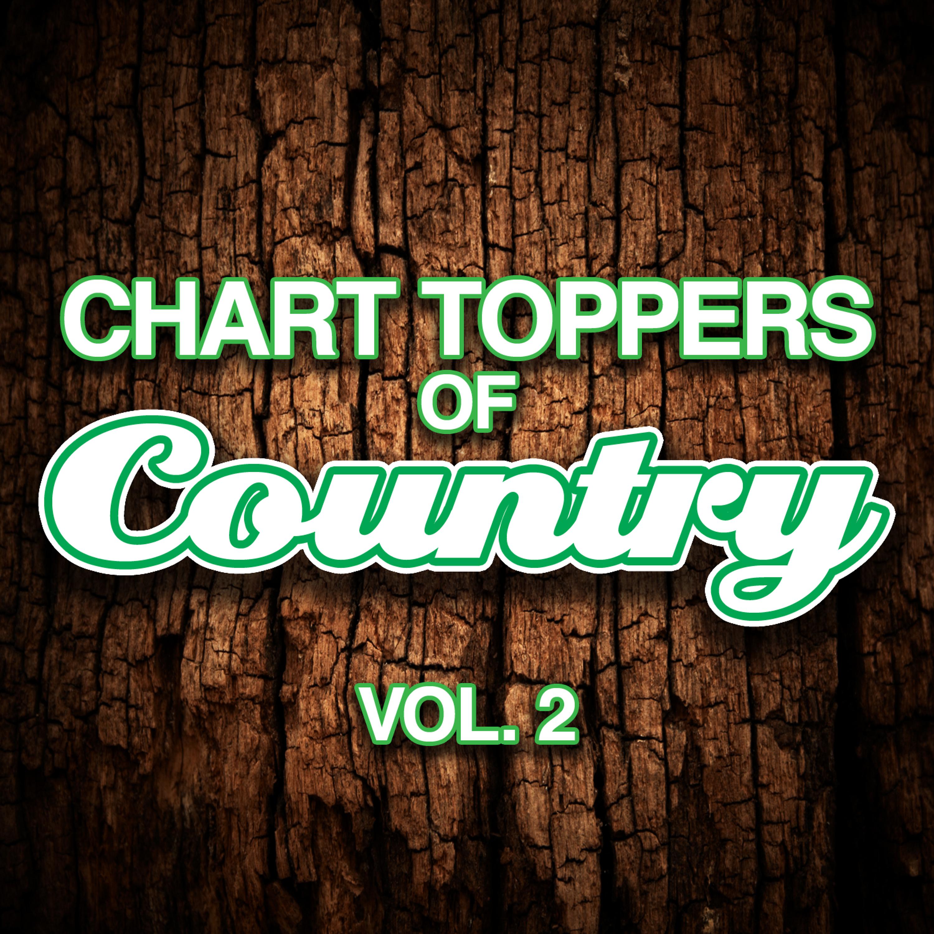 Постер альбома Chart Toppers of Country, Vol 2