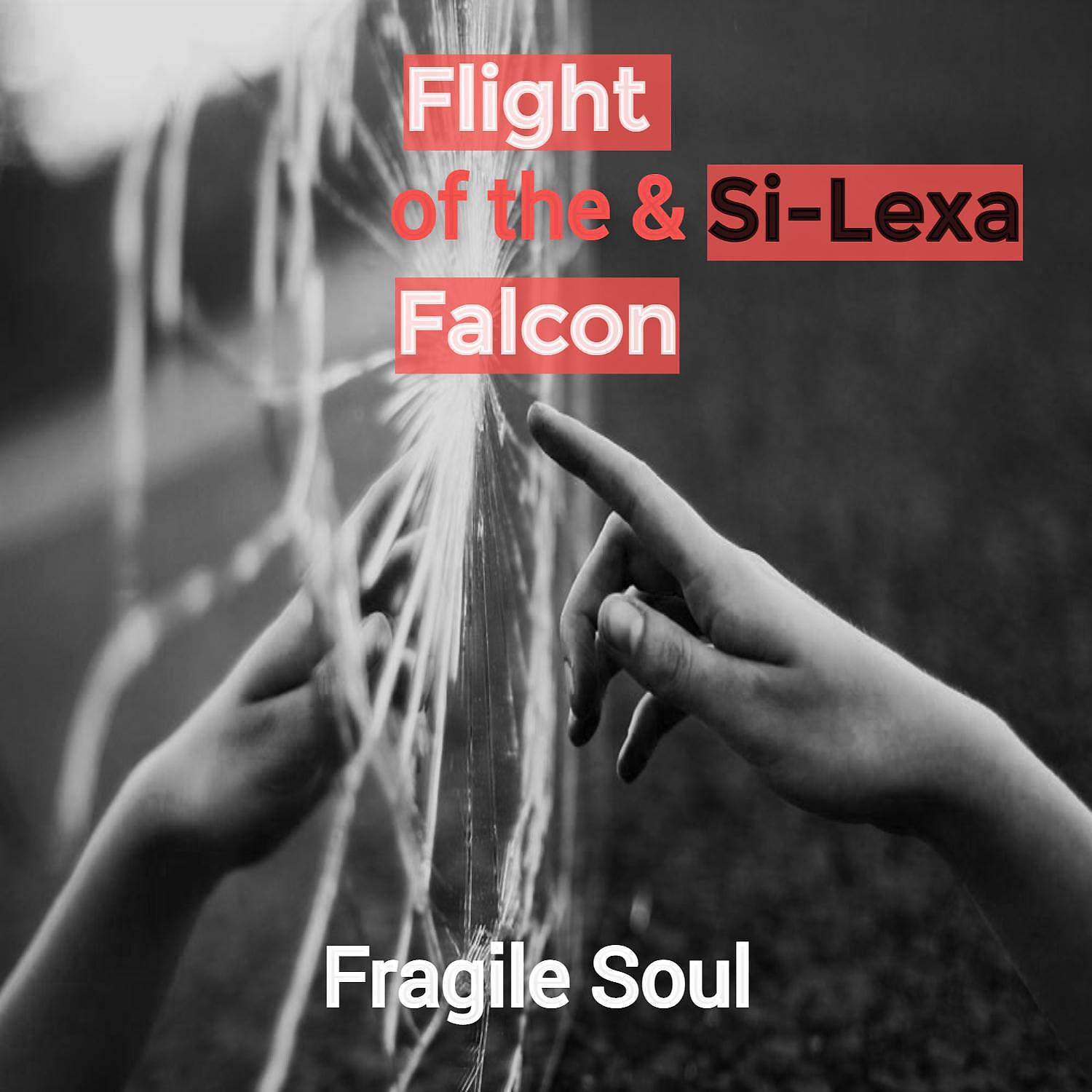 Постер альбома Fragile Soul