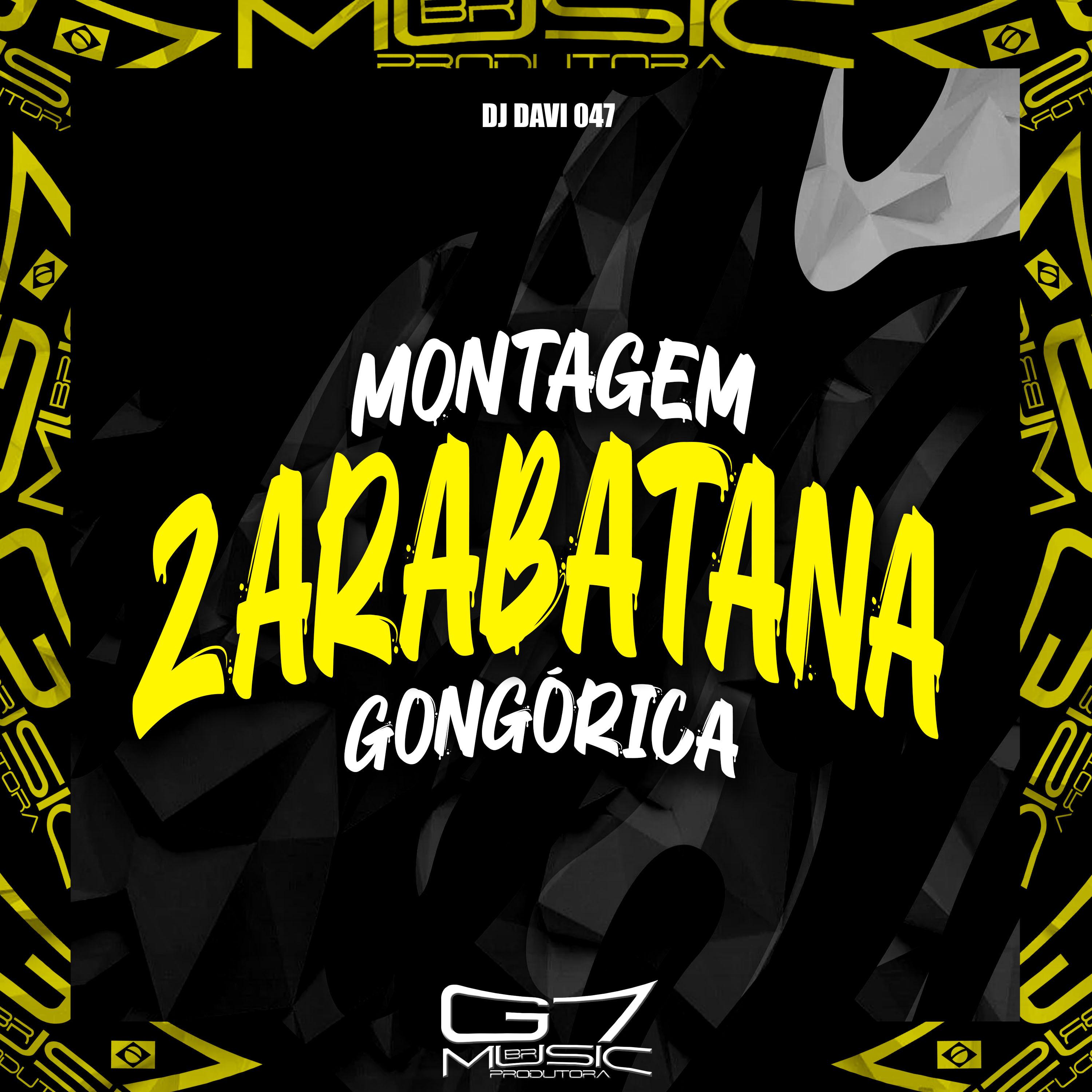 Постер альбома Montagem Zarabatana Gongórica