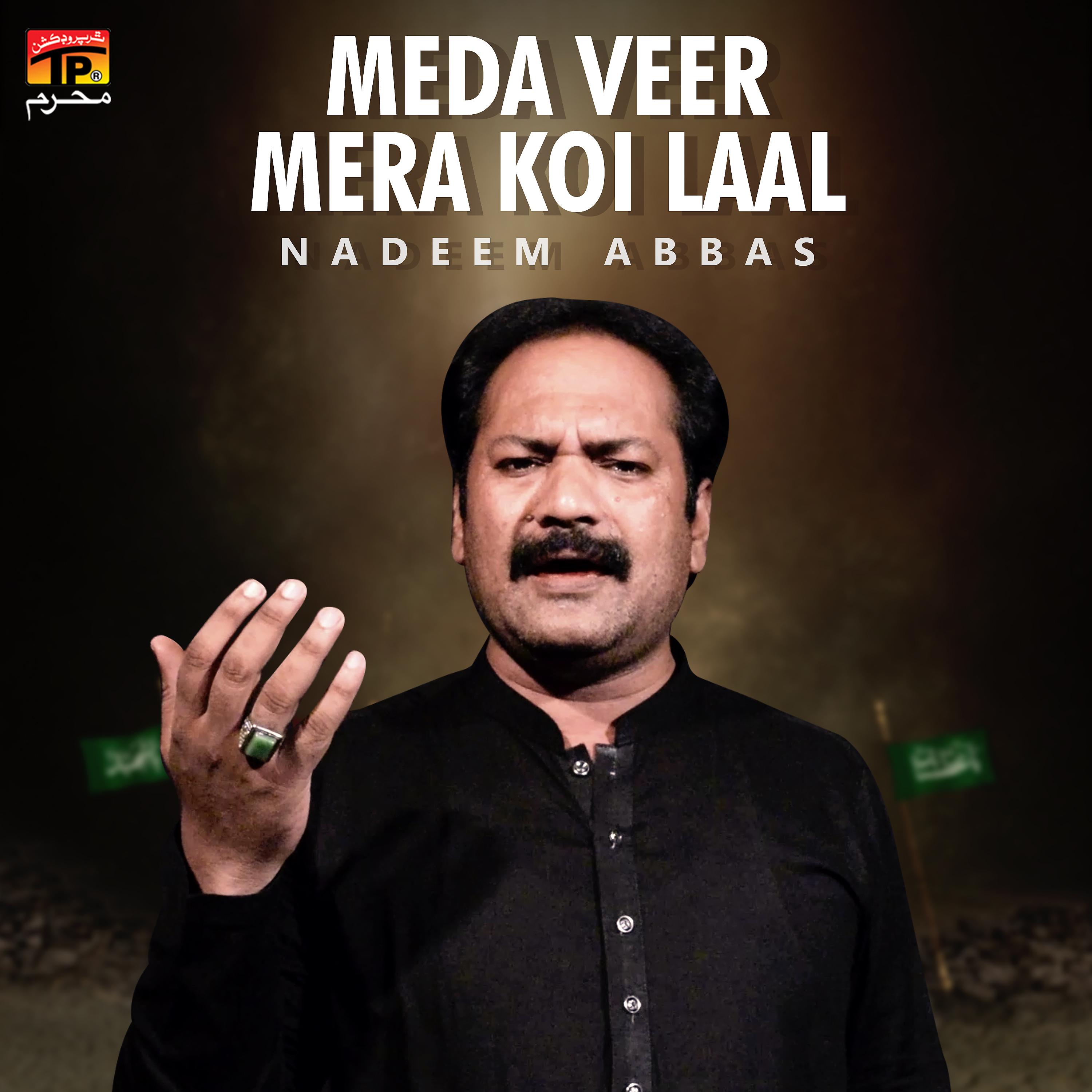 Постер альбома Meda Veer Mera Koi Laal - Single
