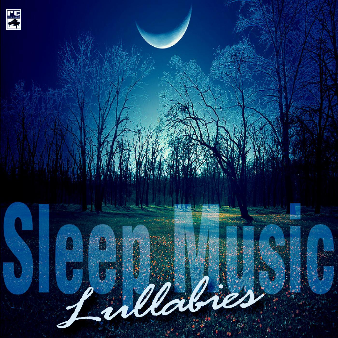 Постер альбома Sleep Music Lullabies