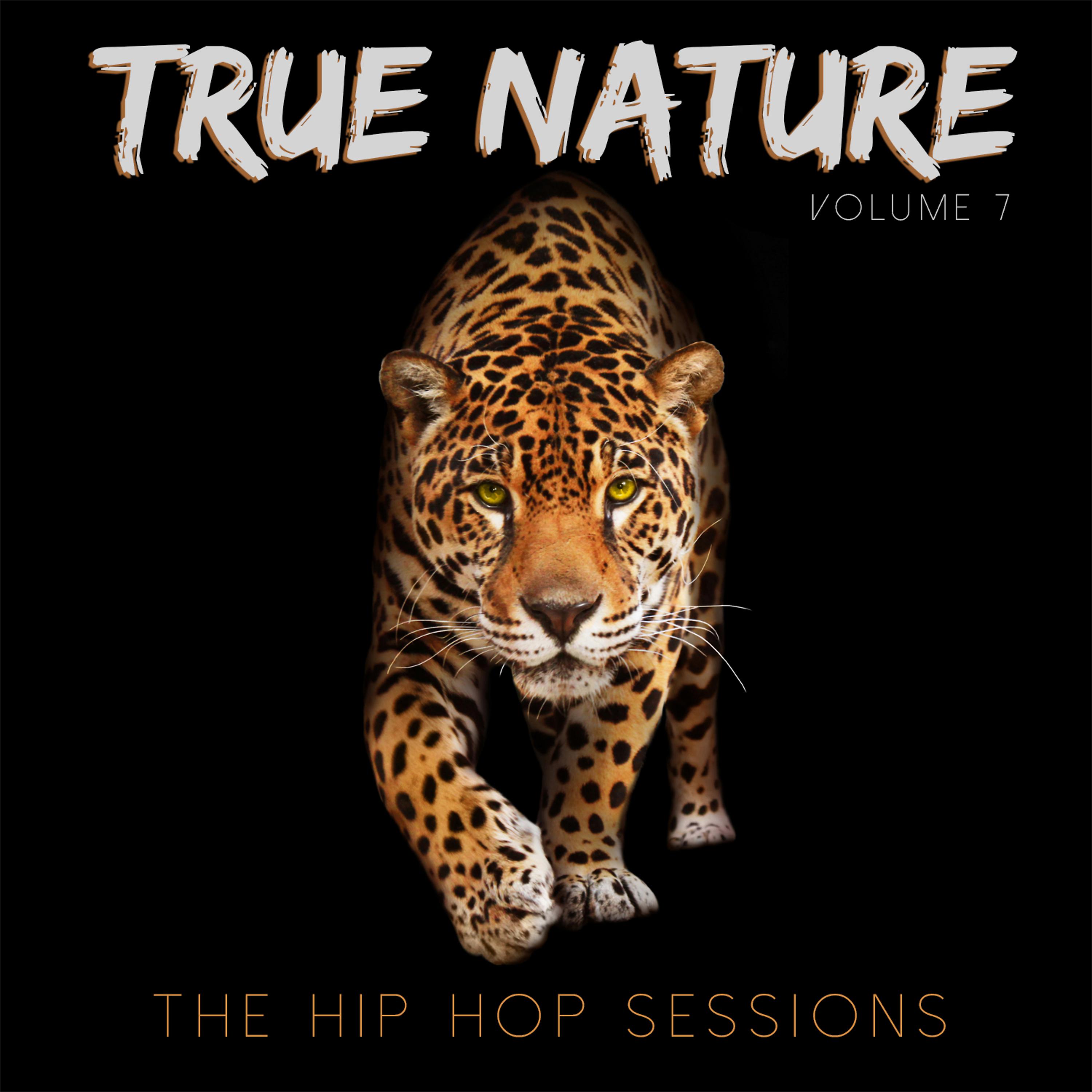 Постер альбома True Nature: The Hip Hop Sessions, Vol. 7