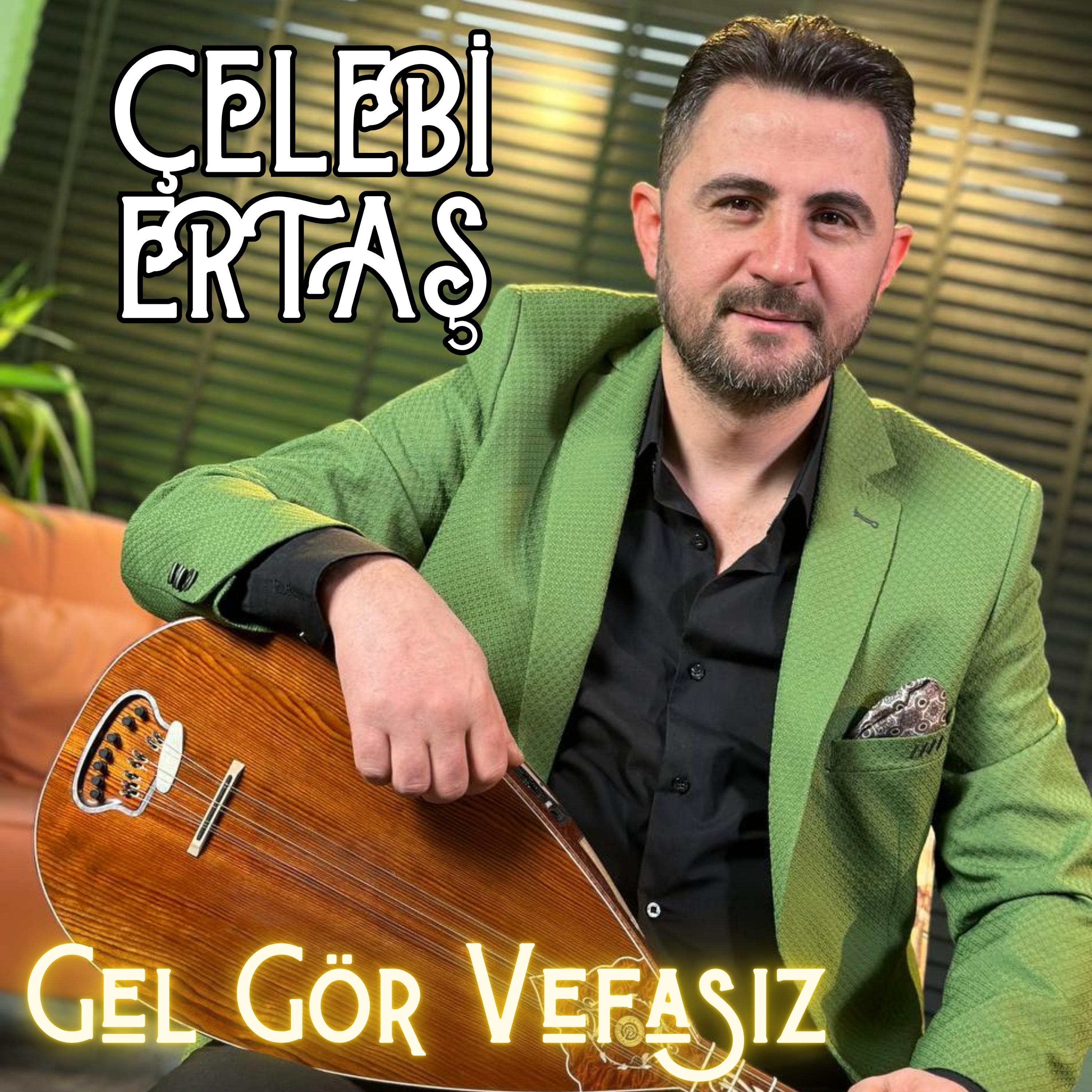 Постер альбома Gel Gör Vefasız