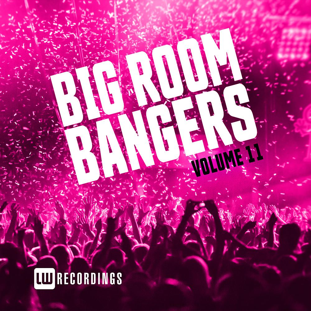 Постер альбома Big Room Bangers, Vol. 11