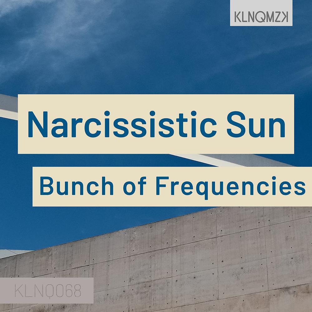 Постер альбома Narcissistic Sun