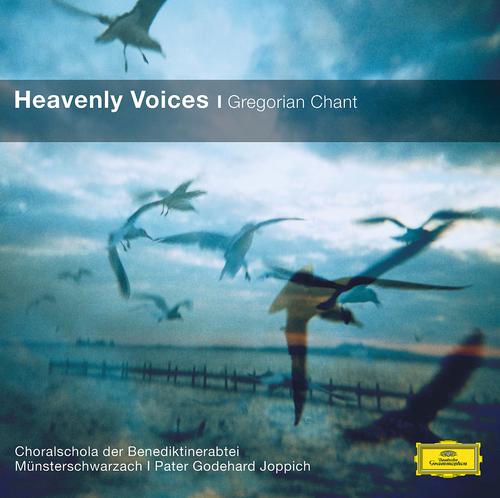 Постер альбома Heavenly Voices - Gregorian Chant