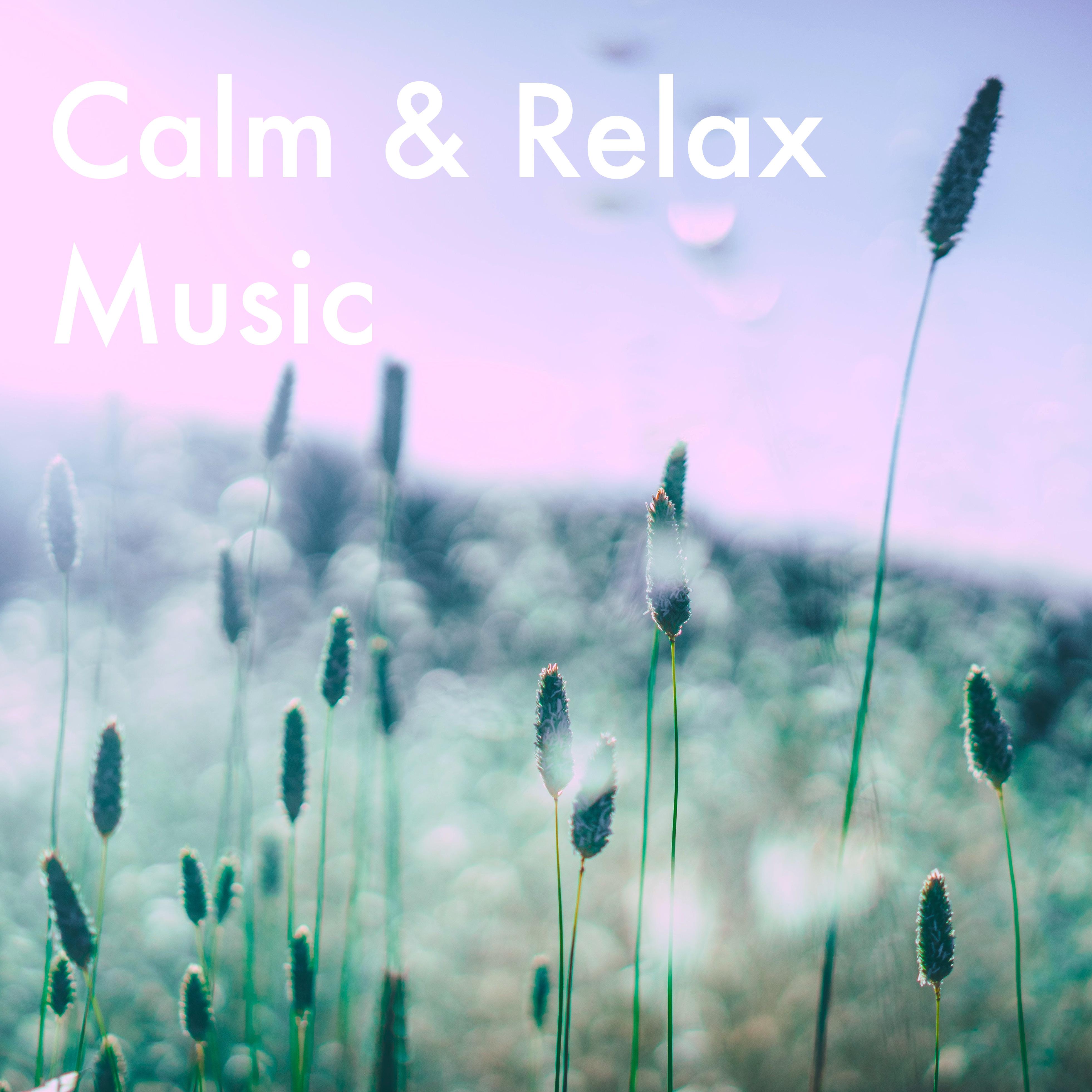 Постер альбома Calm and Relax Music
