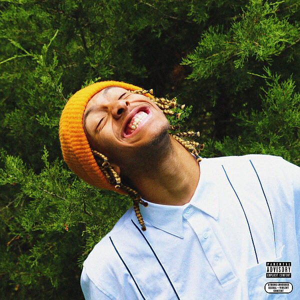 Caleb Carnell - SUNNY (feat. Ryan Laetari)