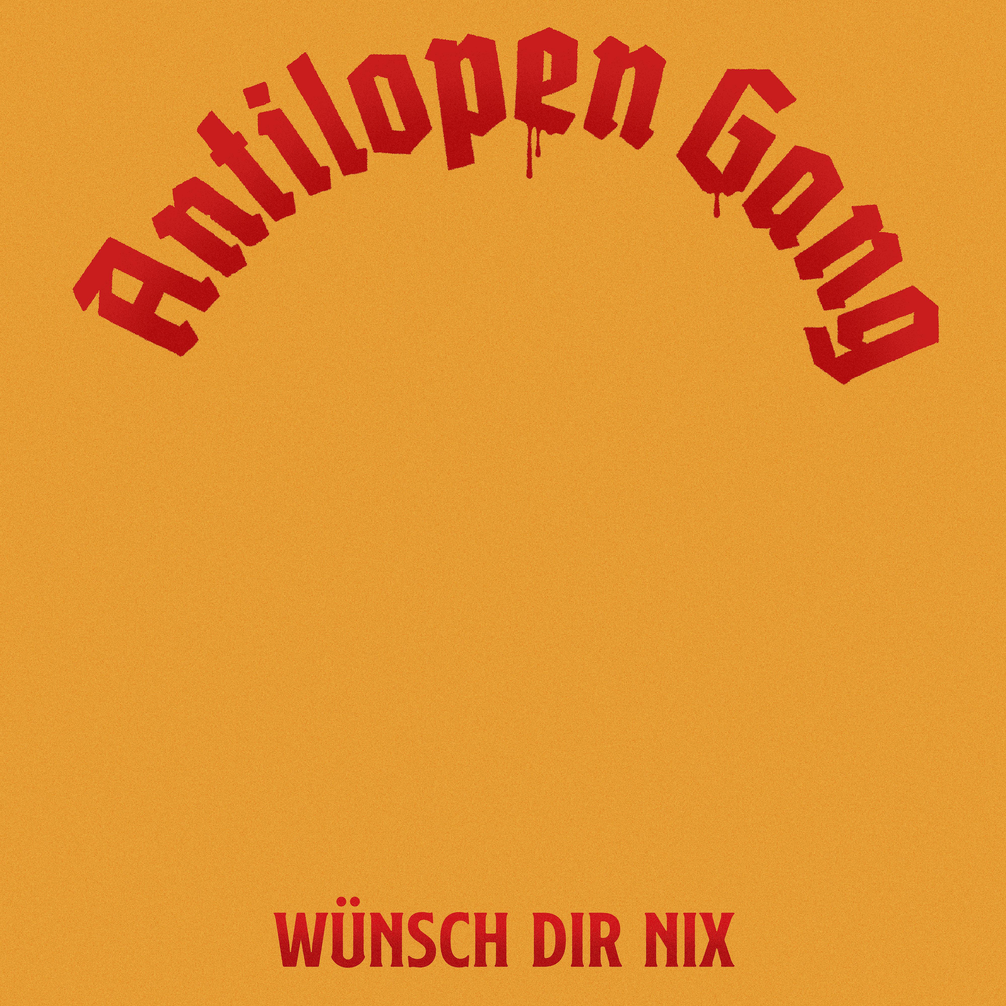 Постер альбома Wünsch Dir nix