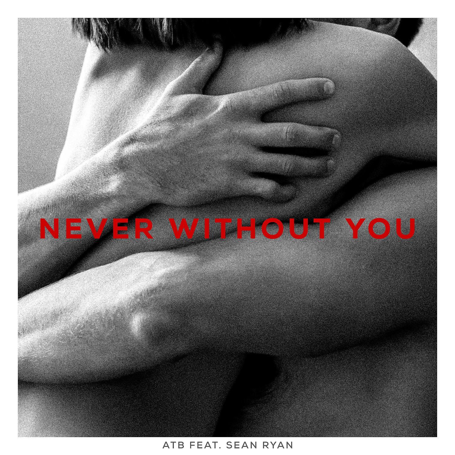 Постер альбома Never Without You (feat. Sean Ryan)