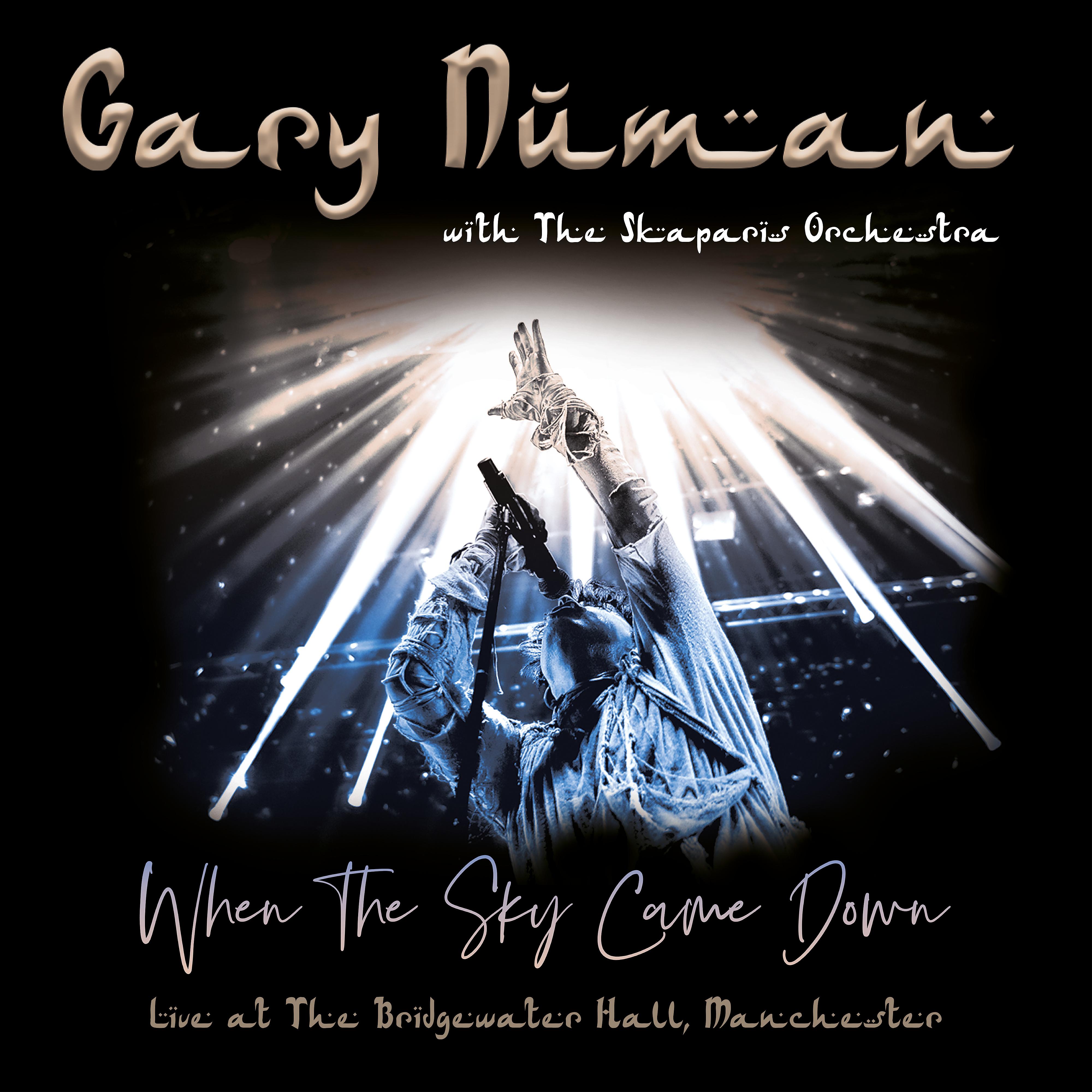 Постер альбома When the Sky Came Down (Live at The Bridgewater Hall, Manchester)