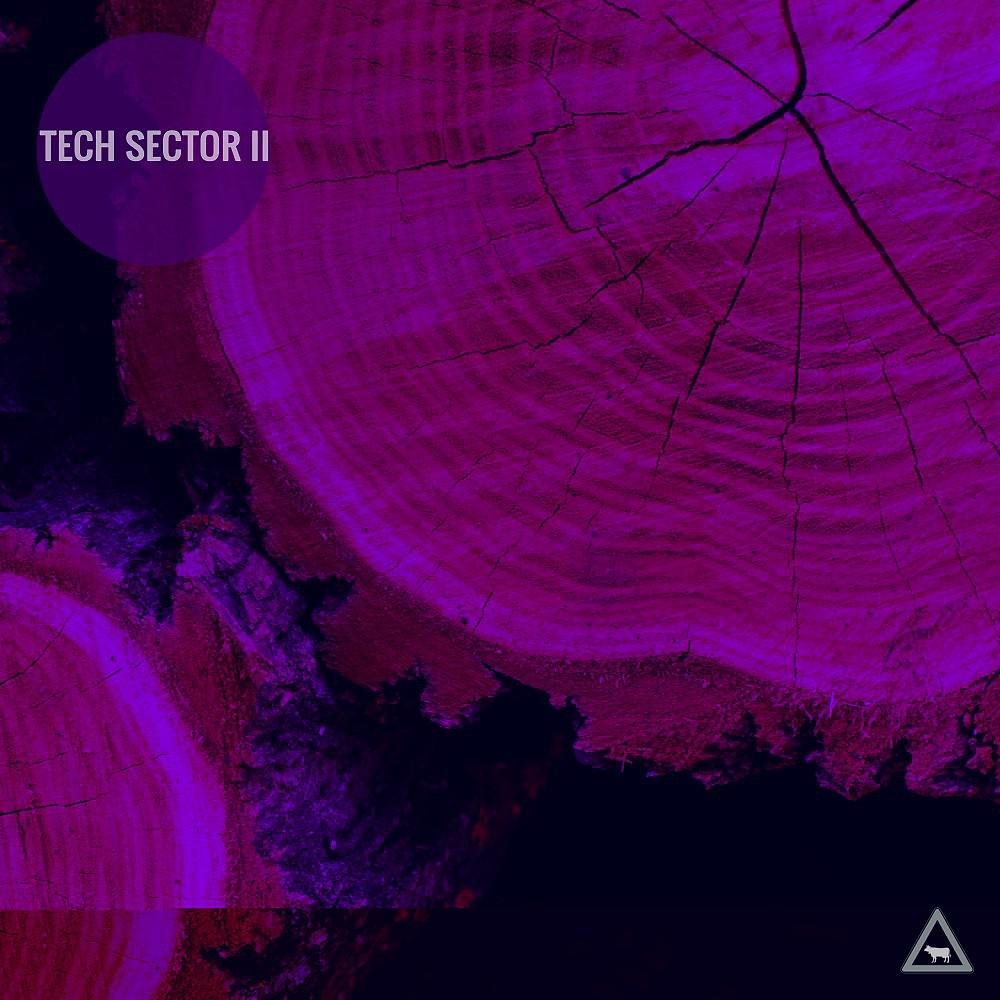 Постер альбома Tech Sector II