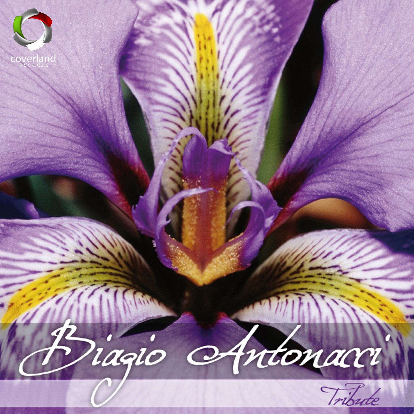 Studio Sound Group - Ritorno ad amare