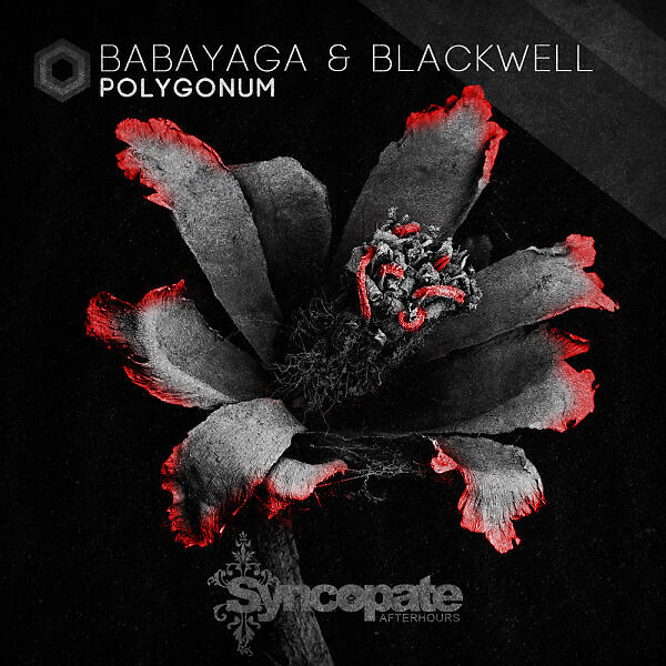 BabaYagA - Polygonum (Remastered)