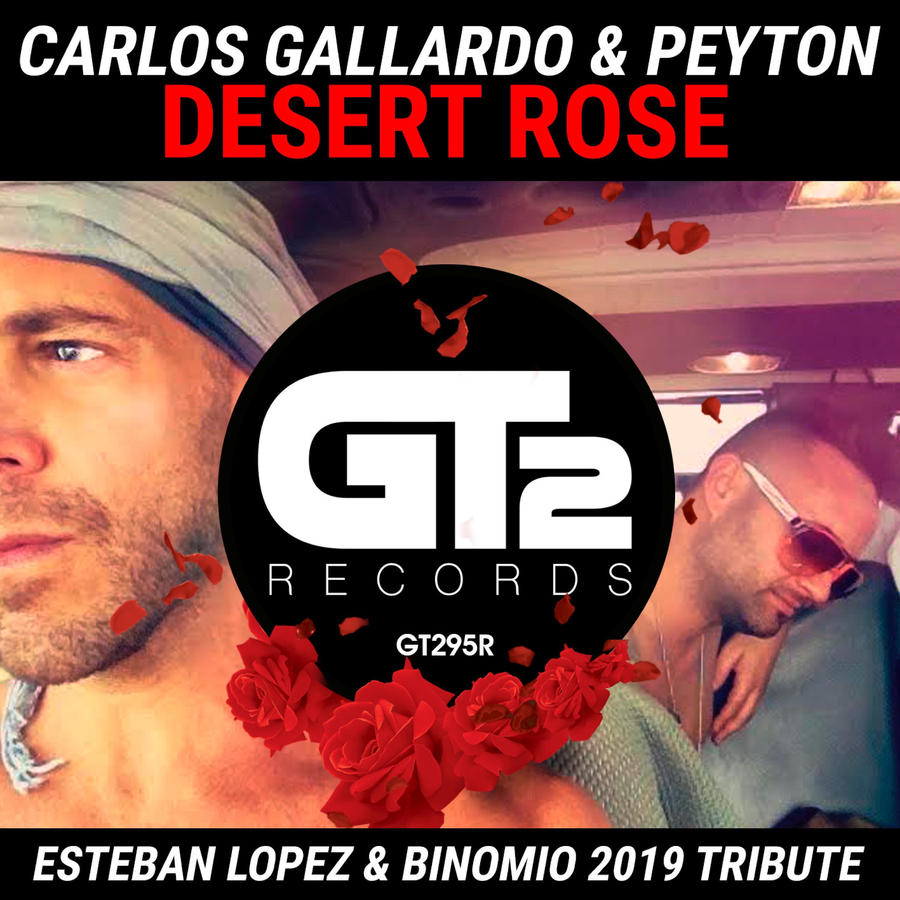Постер альбома Desert Rose (Esteban Lopez & Binomio 2019 Tribute)