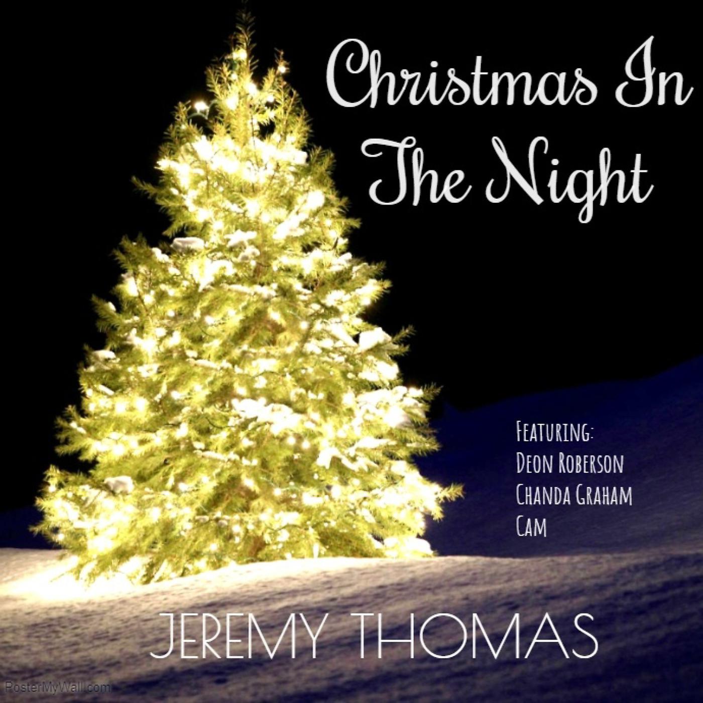 Постер альбома Christmas in the Night