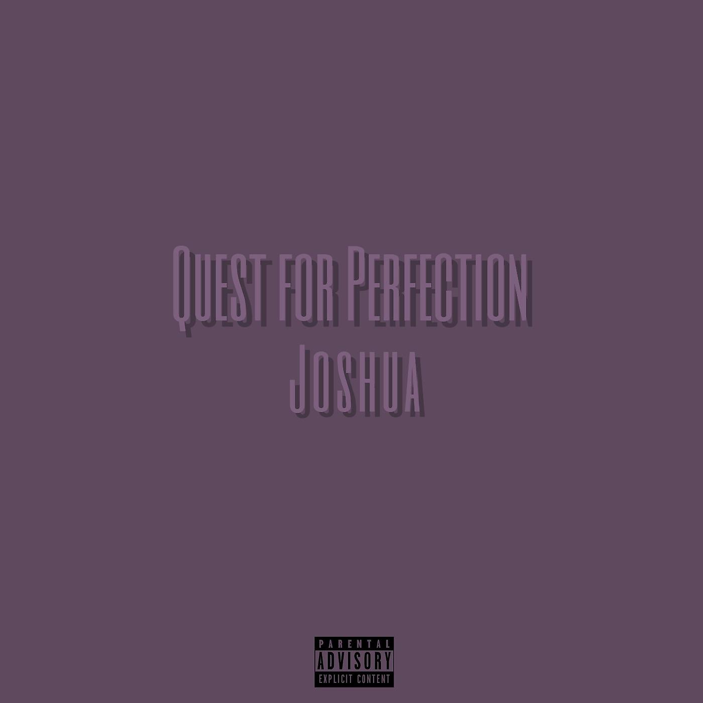 Постер альбома Quest for Perfection