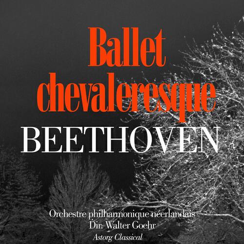 Orchestre philharmonique néerlandais - Ballet chevaleresque : VIII. Deutscher Gesang