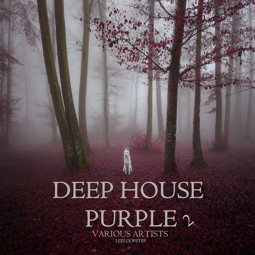 Постер альбома Deep House Purple 2
